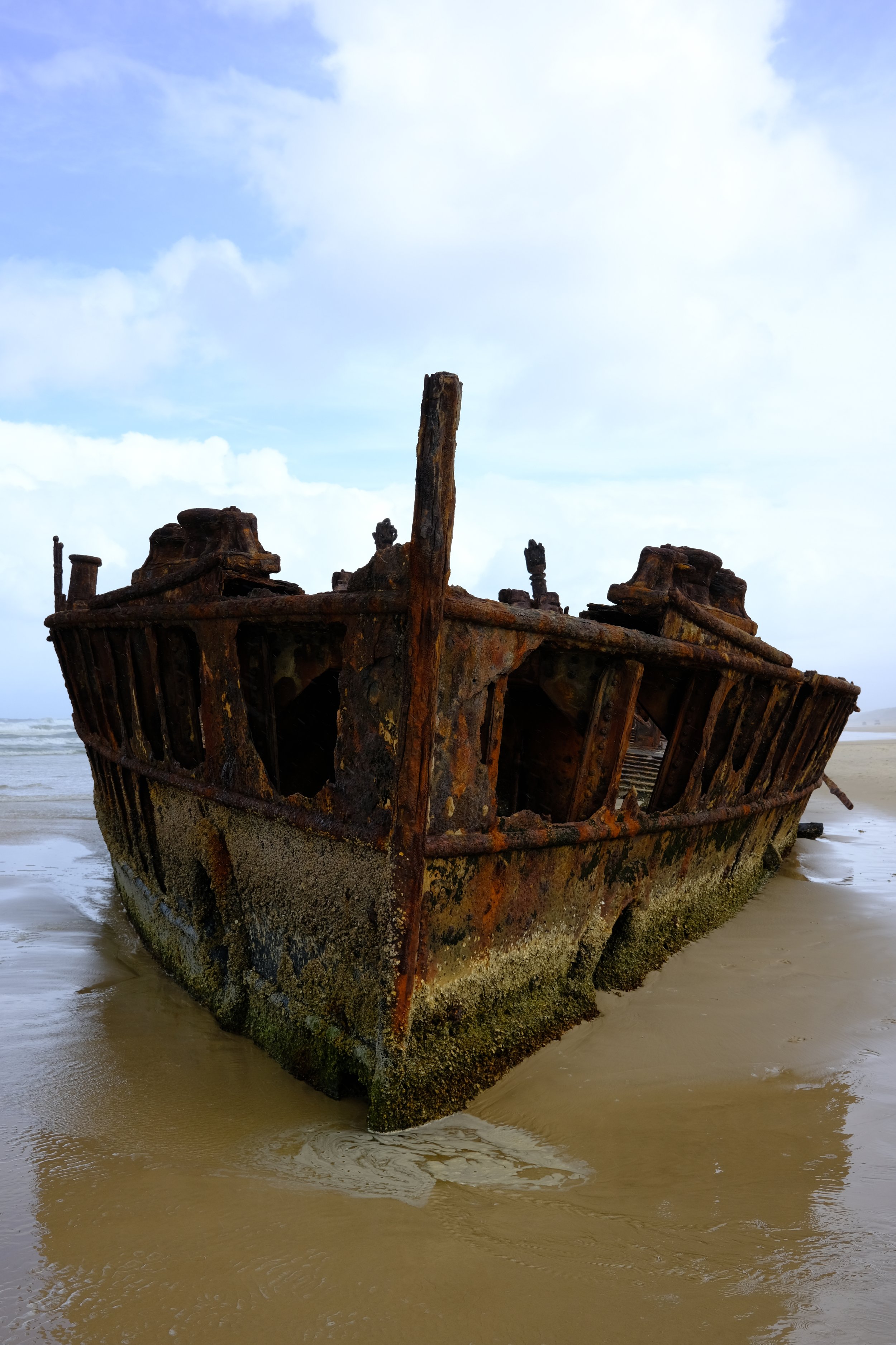 DSCF7974.JPG
