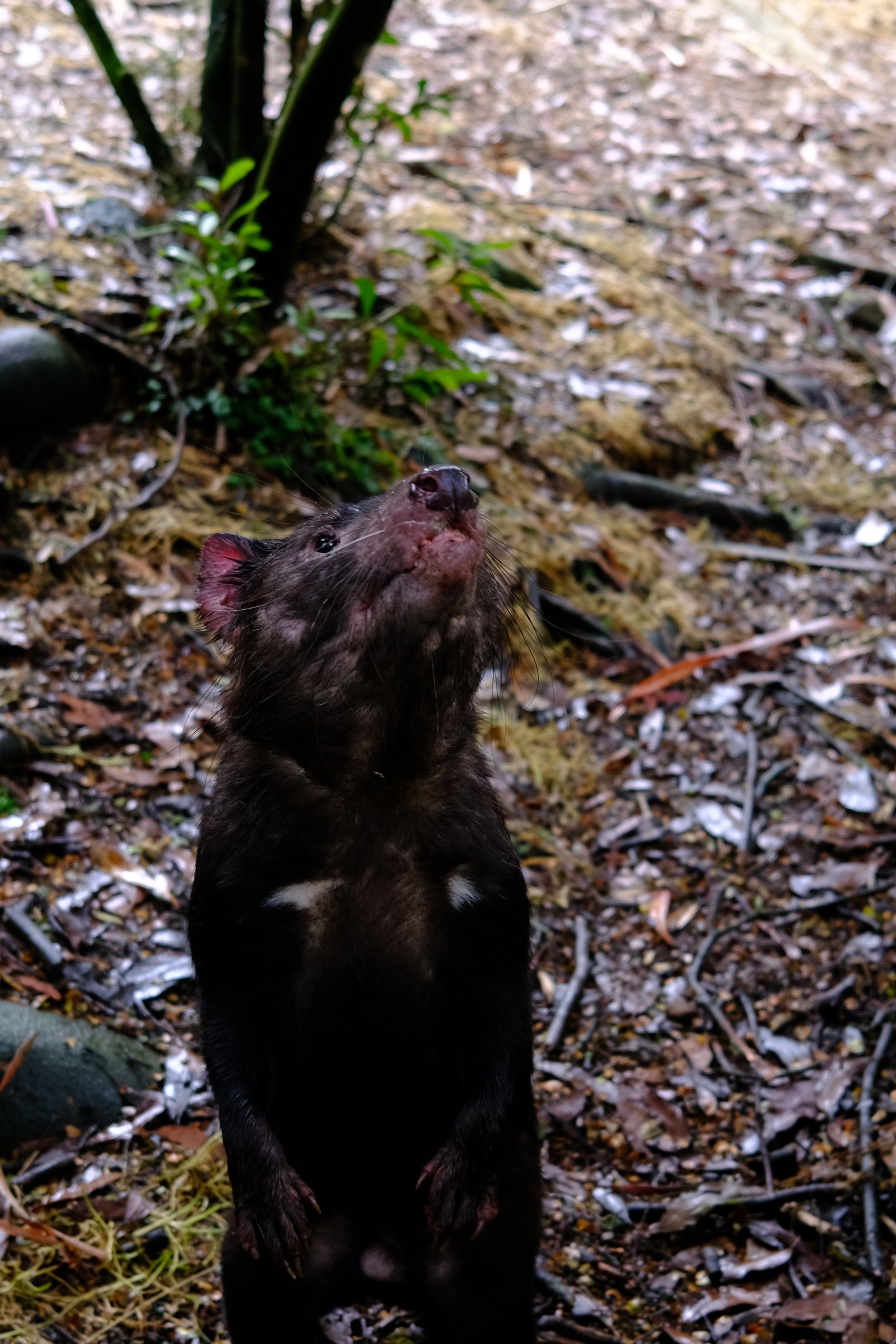 DSCF9157.JPG