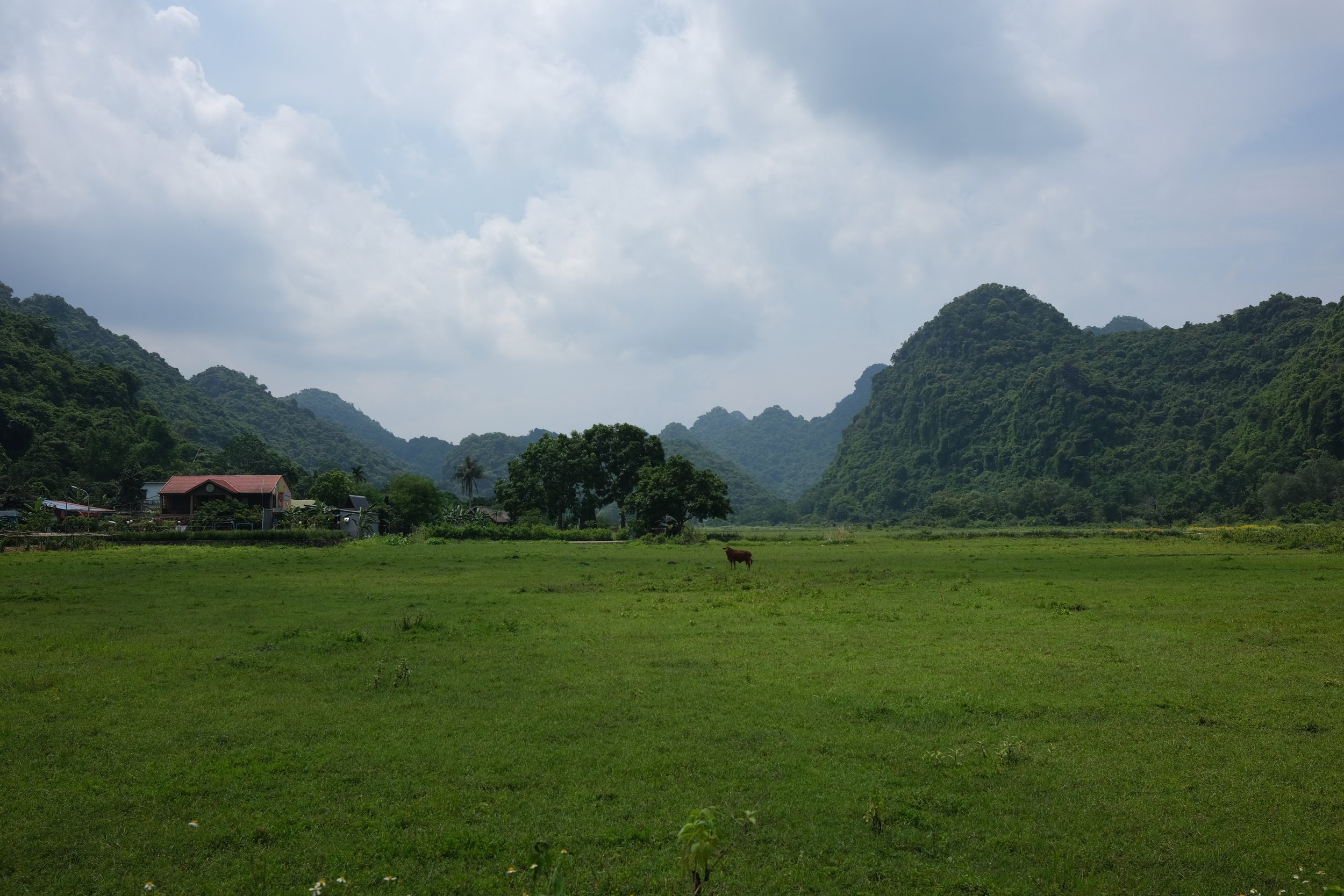 DSCF7544.JPG