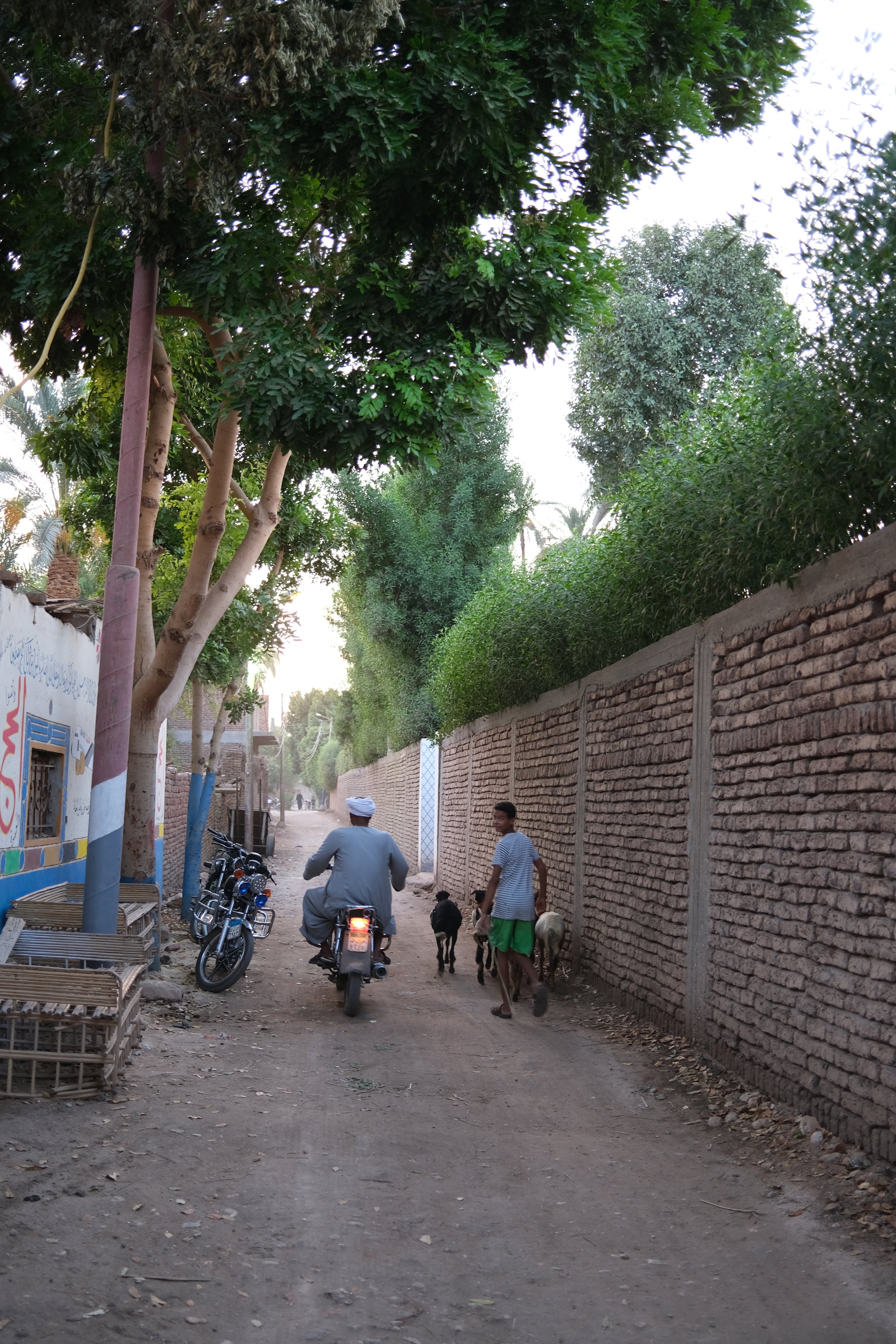 DSCF9615.JPG