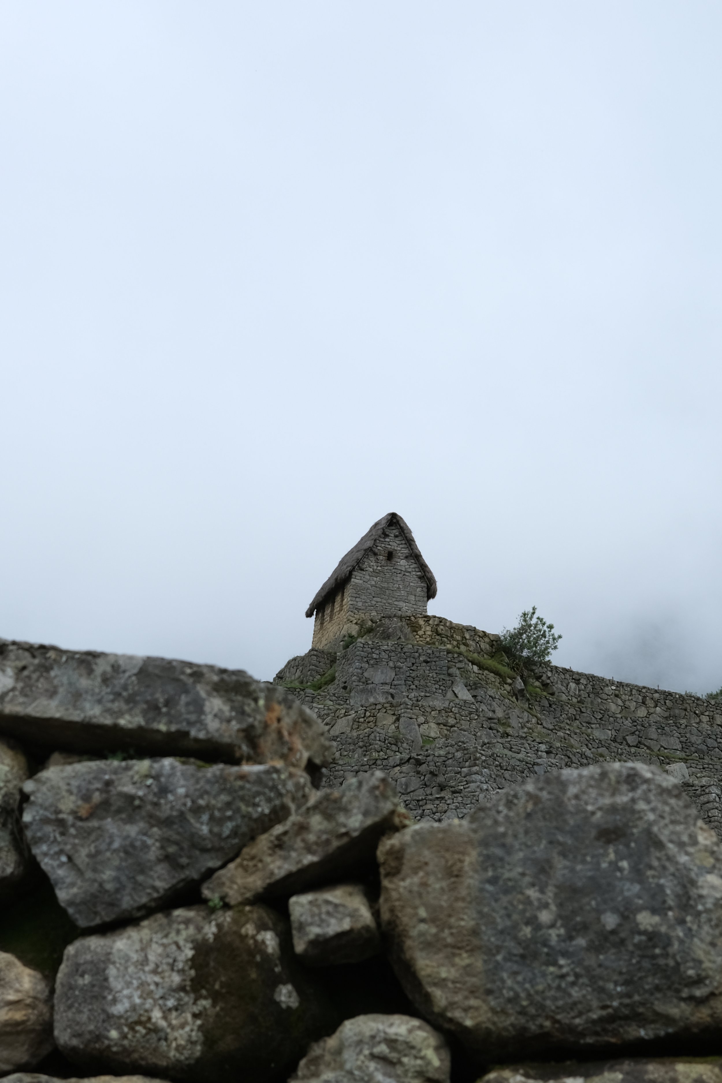 DSCF9743.JPG