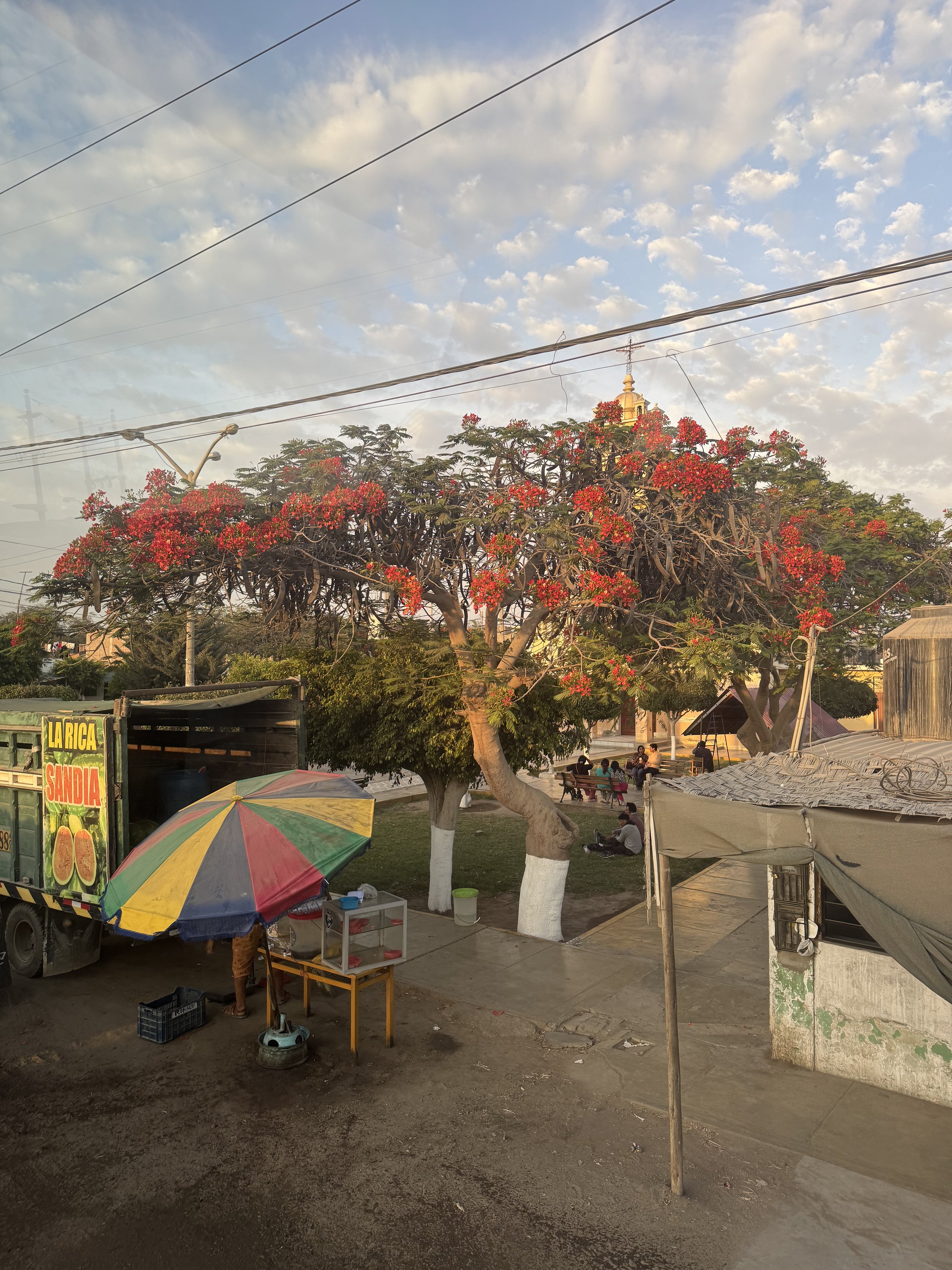 IMG_1021.jpeg