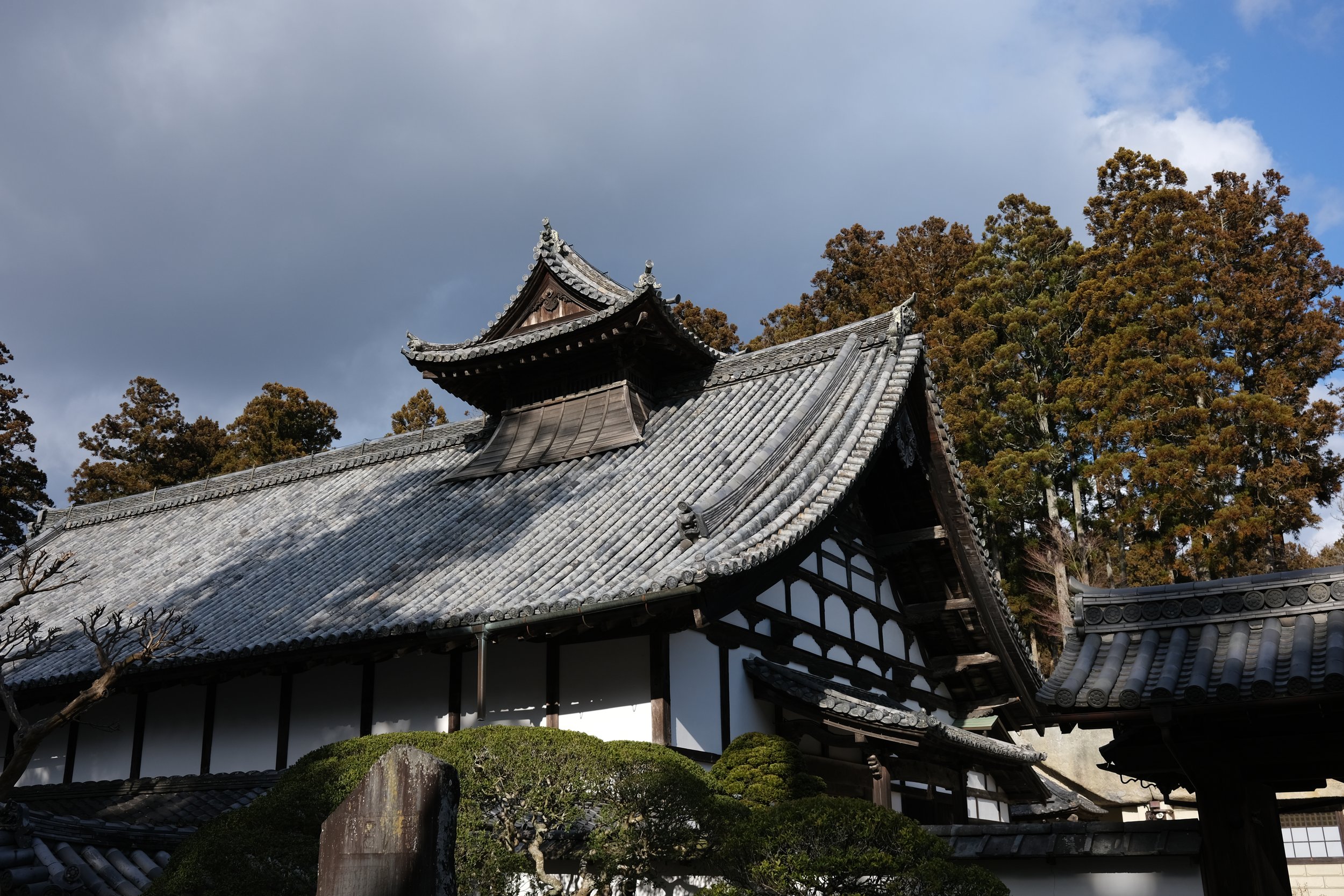 DSCF3327.JPG