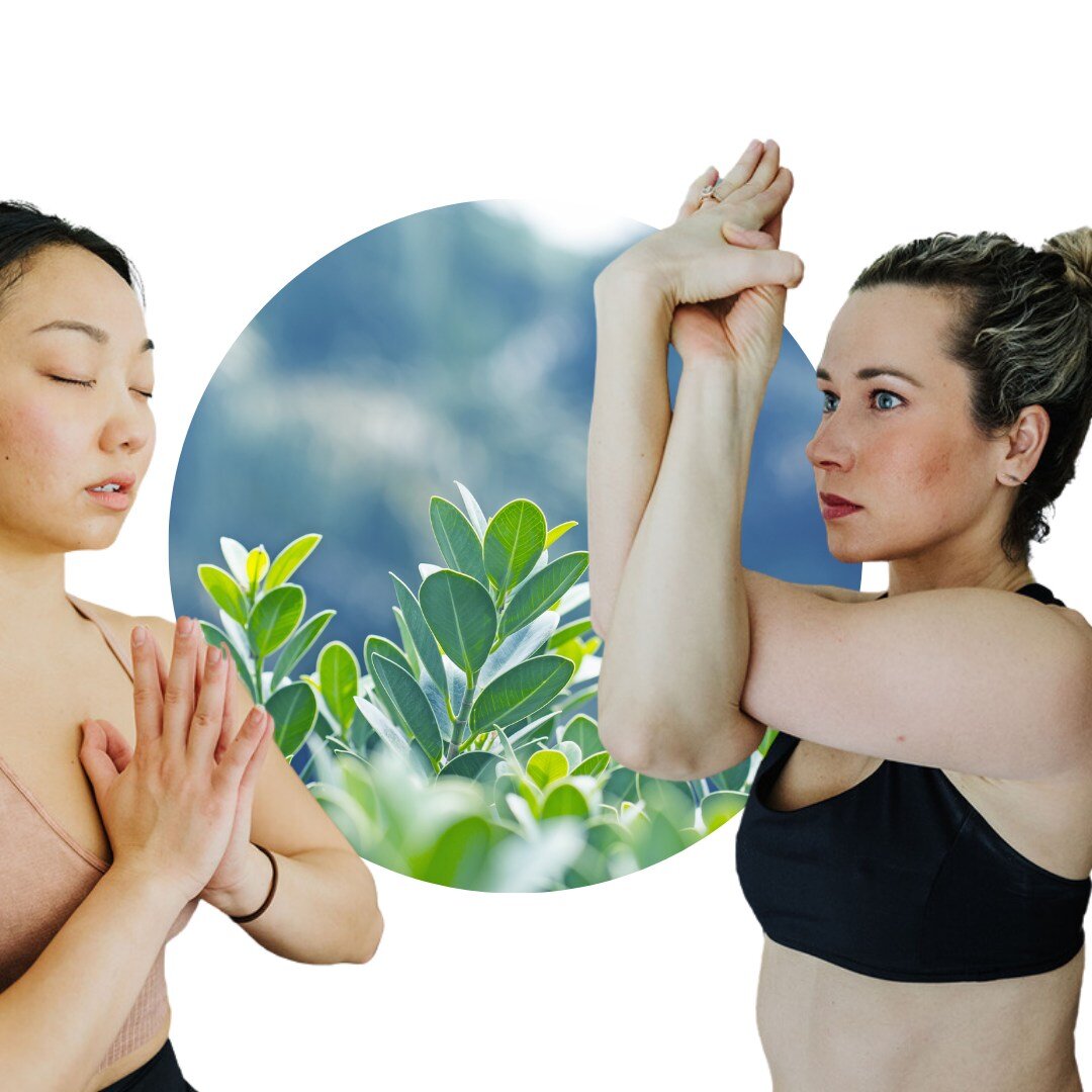 It may not be quite Spring yet, but all three of our studios are heating up with our 🌷Spring workshops☀️🌱 

Spring Spark: Asana, Meditation + Pranayama w/ Melissa Wagasy &amp; Han Dinh
Date: Friday, March 22nd
Time: 7:00-8:30pm
Location: CYD

Align