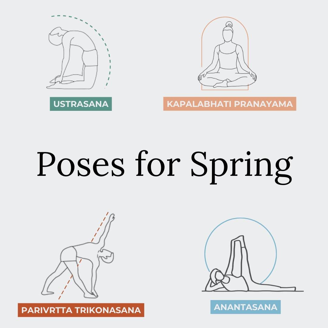 ✨🌷4 poses + 4 elements to embrace this Spring 🌱✨

As nature blooms around us, take inspiration and infuse your yoga practice and your life with the rejuvenating spirit of Spring!

Here are 4 invigorating yoga poses perfect for welcoming the season 