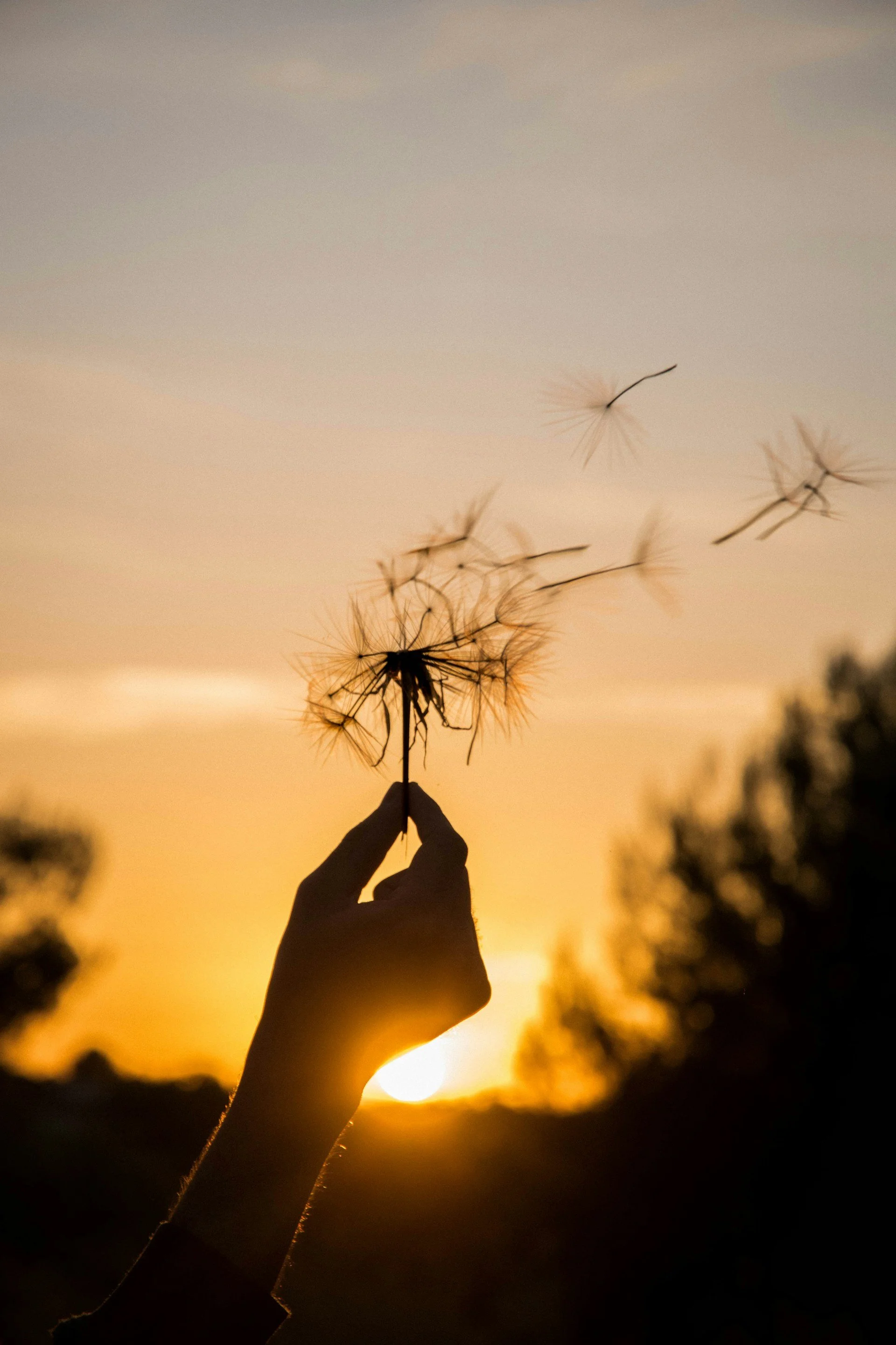 Ecstatic Breathwork w/ Ann Fancy