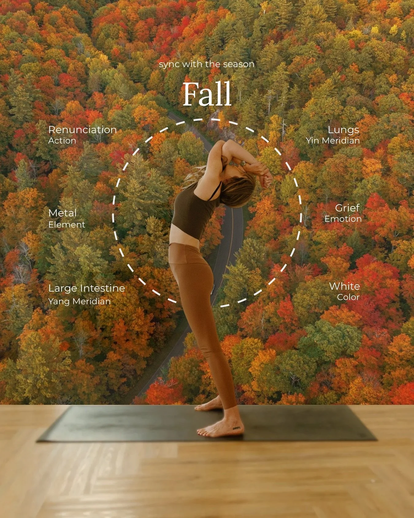 🍂&nbsp;Fall Equinox: A Season of Letting Go&nbsp;🍂

As we enter autumn&rsquo;s embrace, Traditional Chinese Medicine teaches us this is the season of&nbsp;renunciation-action&nbsp;- the natural process of releasing what no longer serves us. The&nbs