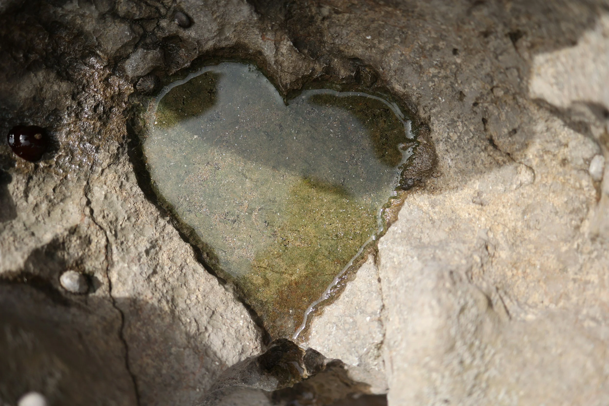 The Quiet Power of Community
