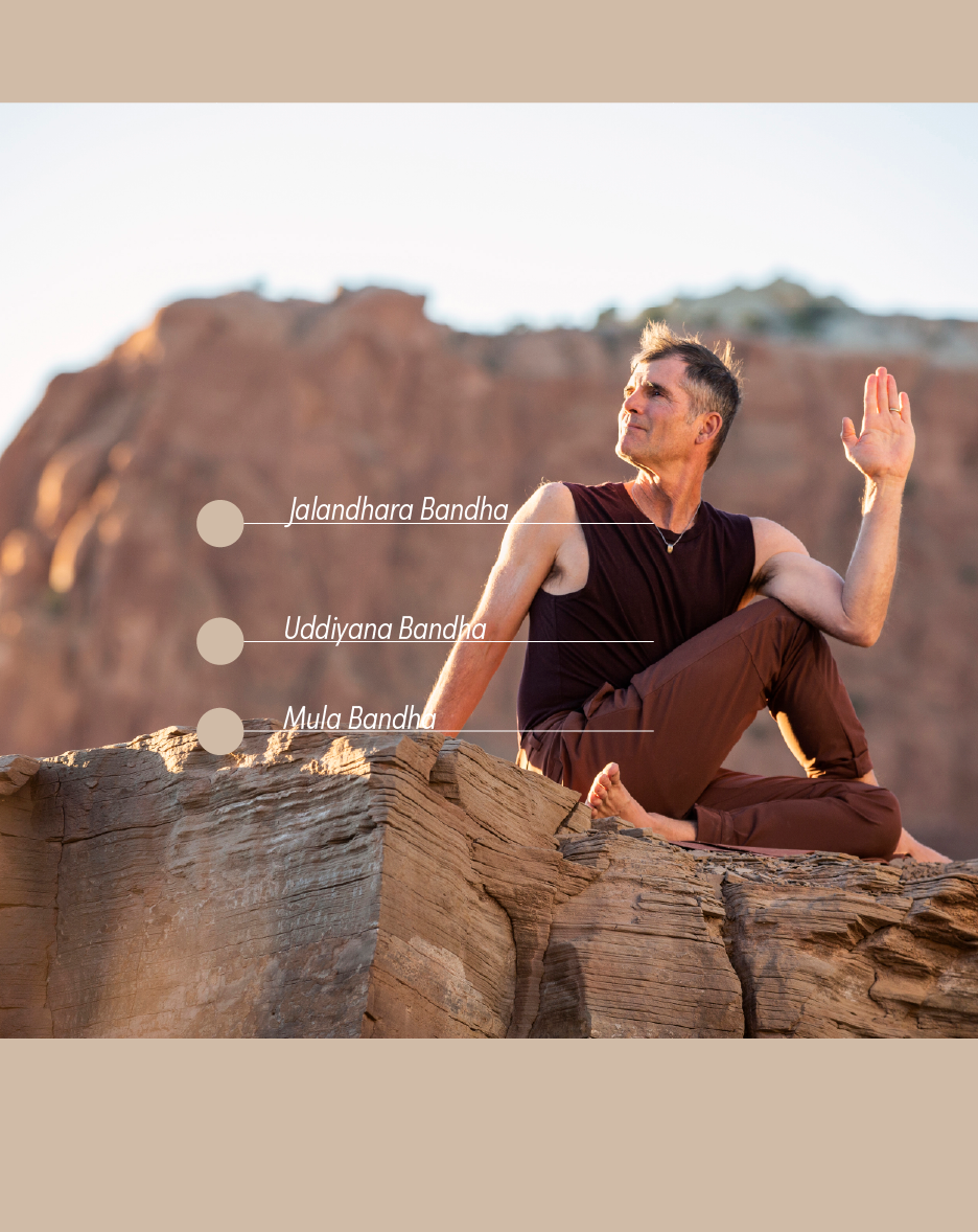 Bandhas: Gateways to the Yoga Body w/ Tias Little