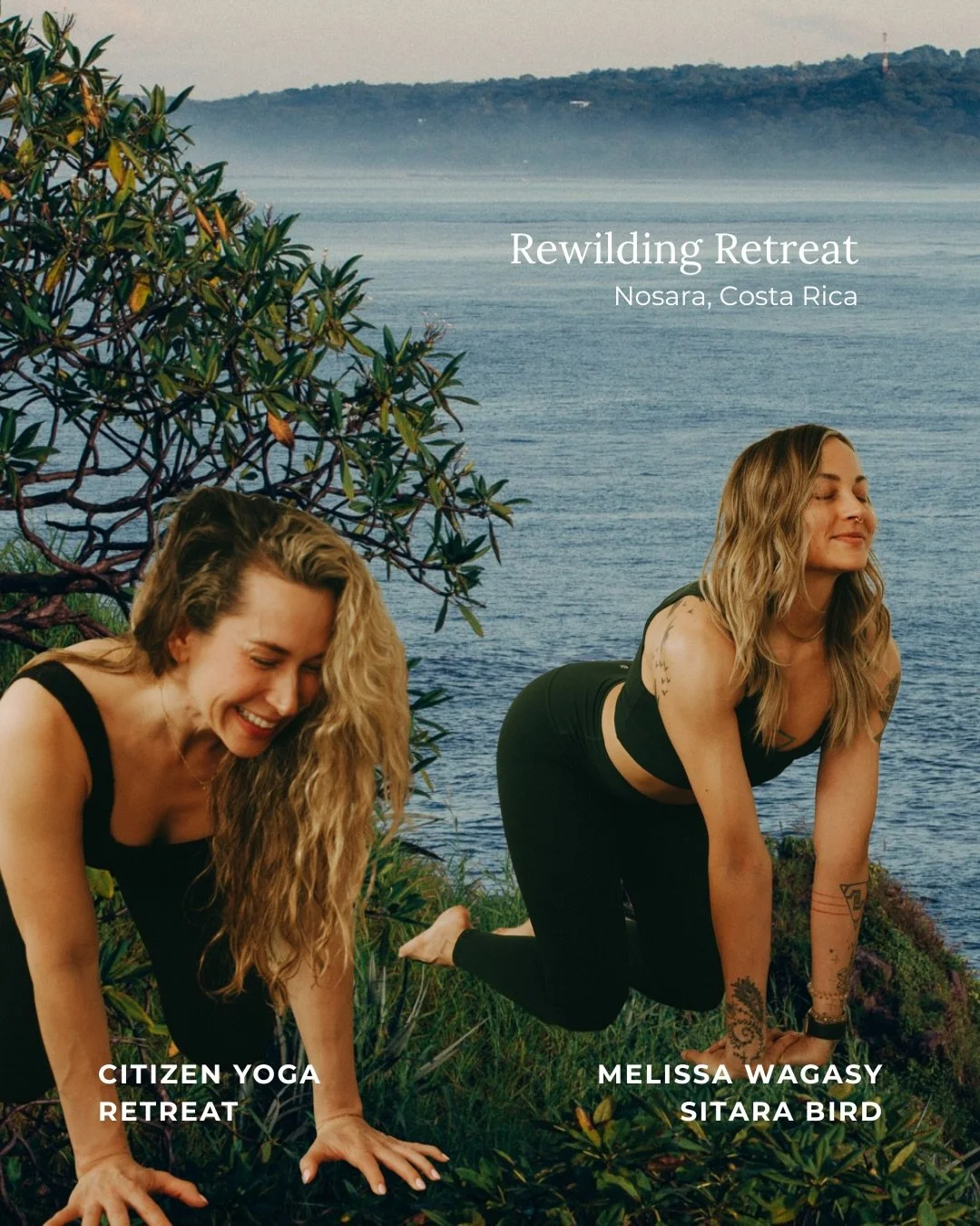 ✨ REWILDING RETREAT | Nosara, Costa Rica ✨

Join us September 26 - October 1, 2026 for five transformative nights at The Nomadic, where the jungle meets the sea. Led by Melissa Wagasy + Sitara Bird, this retreat invites you to reconnect with your wil