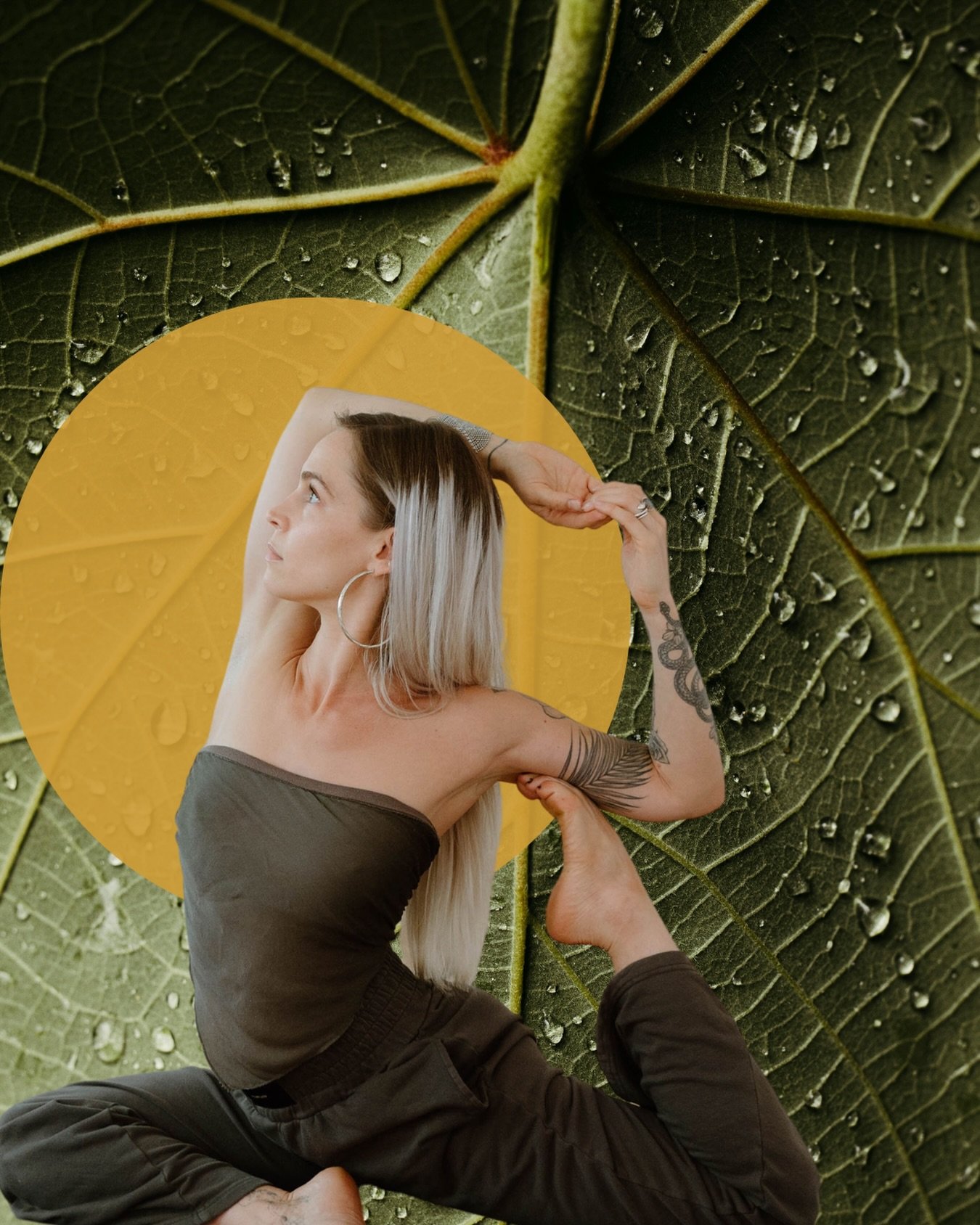 🌿 Spring is here &mdash; and your body knows it.

In Traditional Chinese Medicine, spring is governed by the Wood element &mdash; the energy of rising, renewal, and release. It&rsquo;s the season of the Liver and Gallbladder meridians, which thrive 