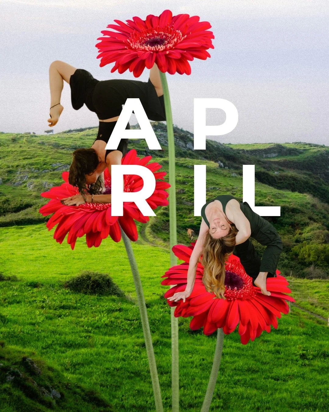 ✨ April at Citizen Yoga ✨

This month, we&rsquo;re inviting you to go deeper &mdash; into your body, your energy, your most authentic self.

🌱&nbsp;Thawing the Earth&nbsp;with Julie Brazen, 500-hr Certified Yoga Teacher and Ayurvedic Health Counselo