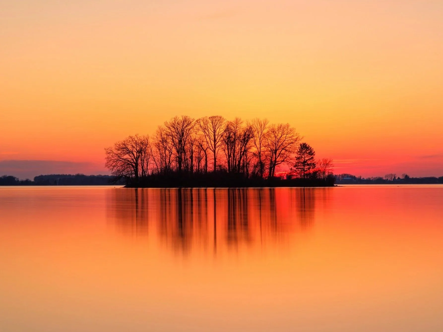 Summer Solstice Celebration: Yoga, Ritual + Reflection w/ Samantha Mee