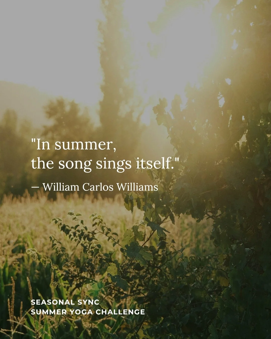 🌿☀️ Today is the first day of the Seasonal Sync Summer Yoga Challenge. 7 days of practice and daily prompts to guide you on a journey towards slowing down the hectic pace of summer to the tune into your heart and great nature.

Day One: Find a quote