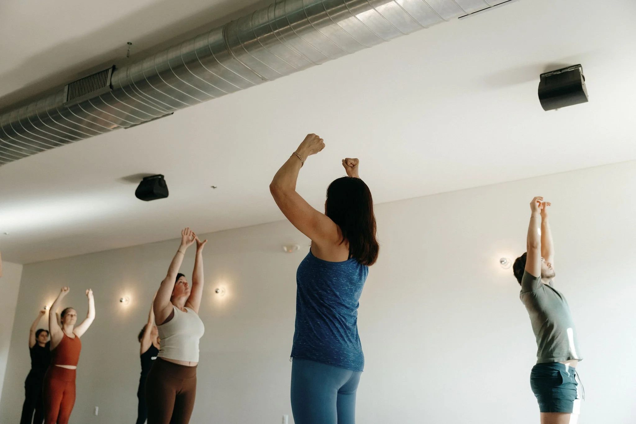 Longevity: Nervous System Health with Cindy