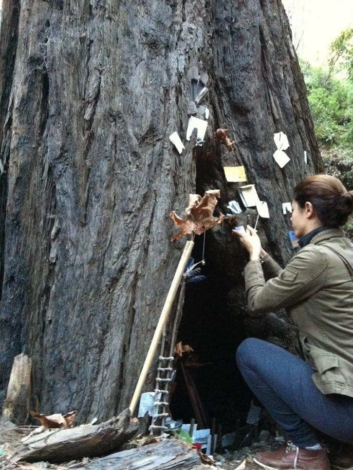 In late 2012, during a work trip to San Jose, I spontaneously decided to visit my dear friend Nicole, who had recently left New York to live in Big Sur. 

My personal life was in shambles and she gave me one of the most special days, taking me to Dee