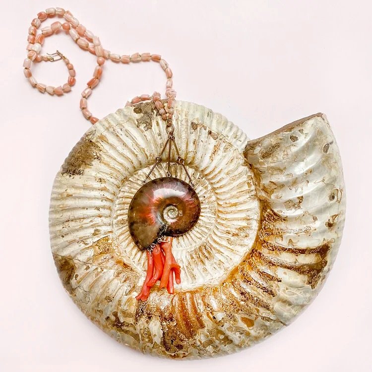 De Vera&rsquo;s collections and jewelry stem from the same ideas as all great design houses, that design could be informed both from our cultural upbringing and our deepest fantasies of beauty.

Read more on nativehut.substack.com.