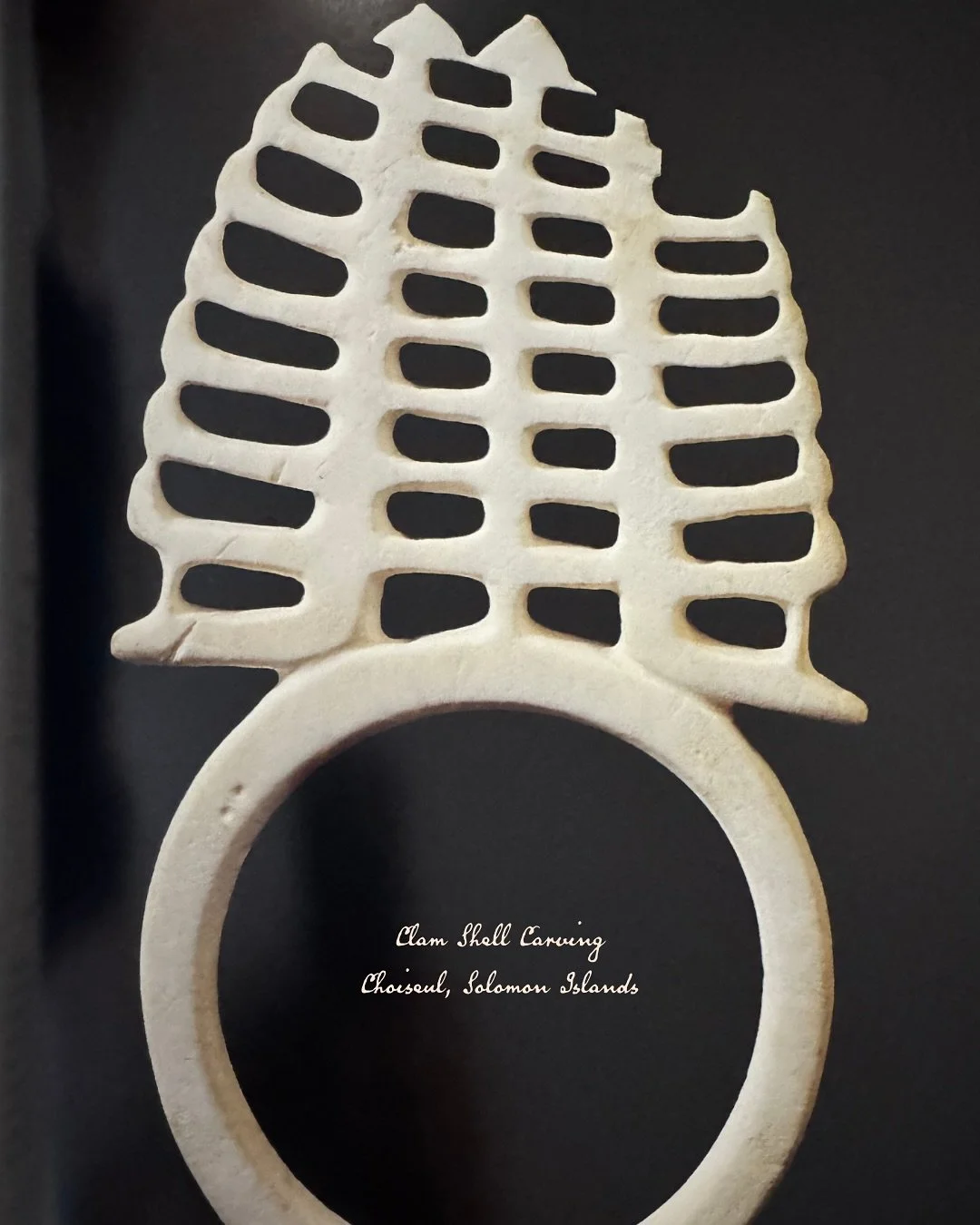 Shell adornment from the Solomon Islands

-Pacific Jewelry and Adornment, Roger Neich and Fuli Pereira, Photographs by Krzysztof Pfejffer, University of Hawai&rsquo;i Press Honolulu, 2004