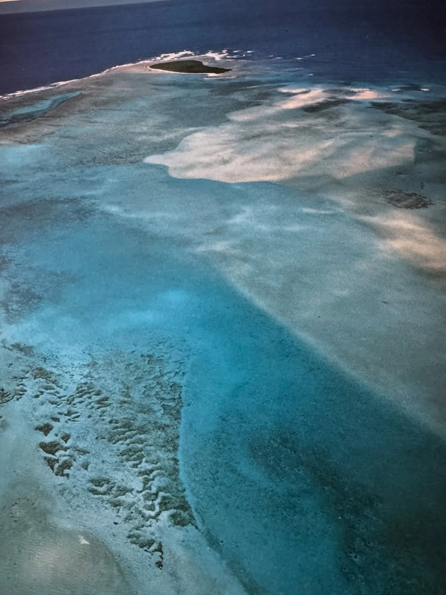 Long before us, there was plant life and sea life. 
 
New Caledonia-Lagoon and reefs near Isle of Pines
Fiji-Atoll, Lau Islands
New Hebrides-Mt. Yasue, an active volcano, Tanna
Bora Bora, across the lagoon from Taha&rsquo;a Island

South Pacific, Jac