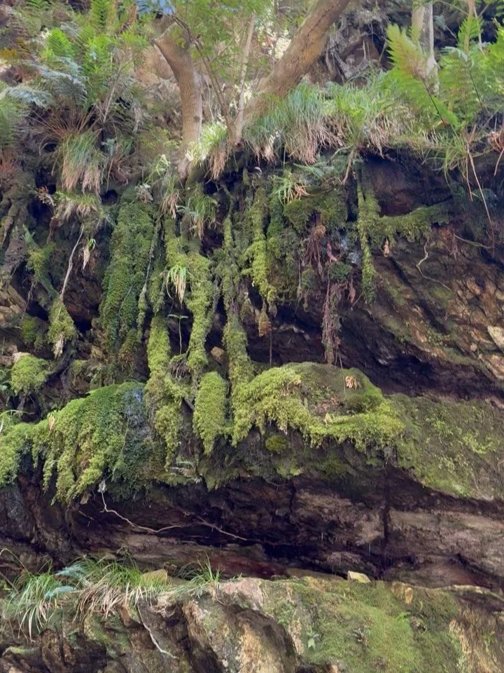 Supernatural sensations were waiting at the waterfall