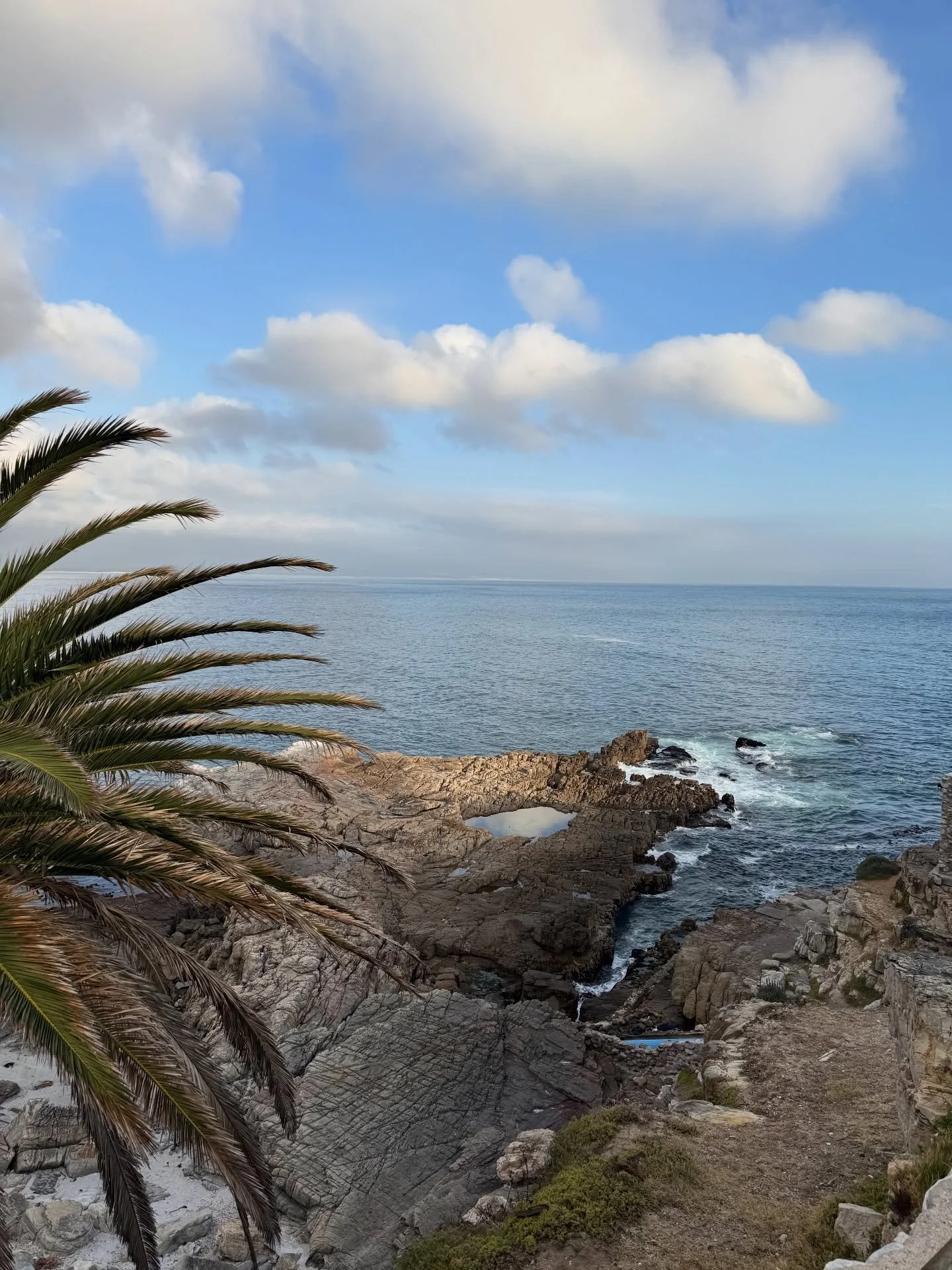 We watched for whales and instead were greeted by dassies.