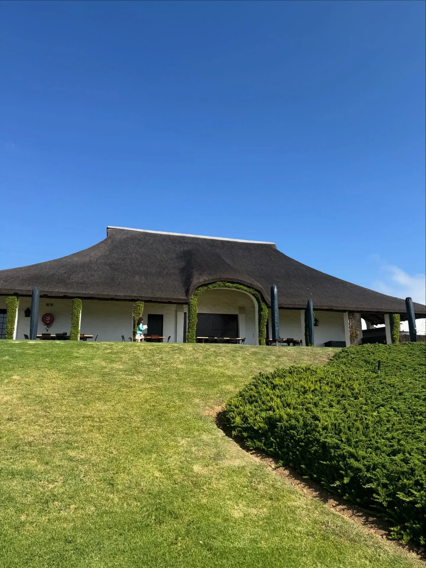 Where the grapes are grown in clay soil