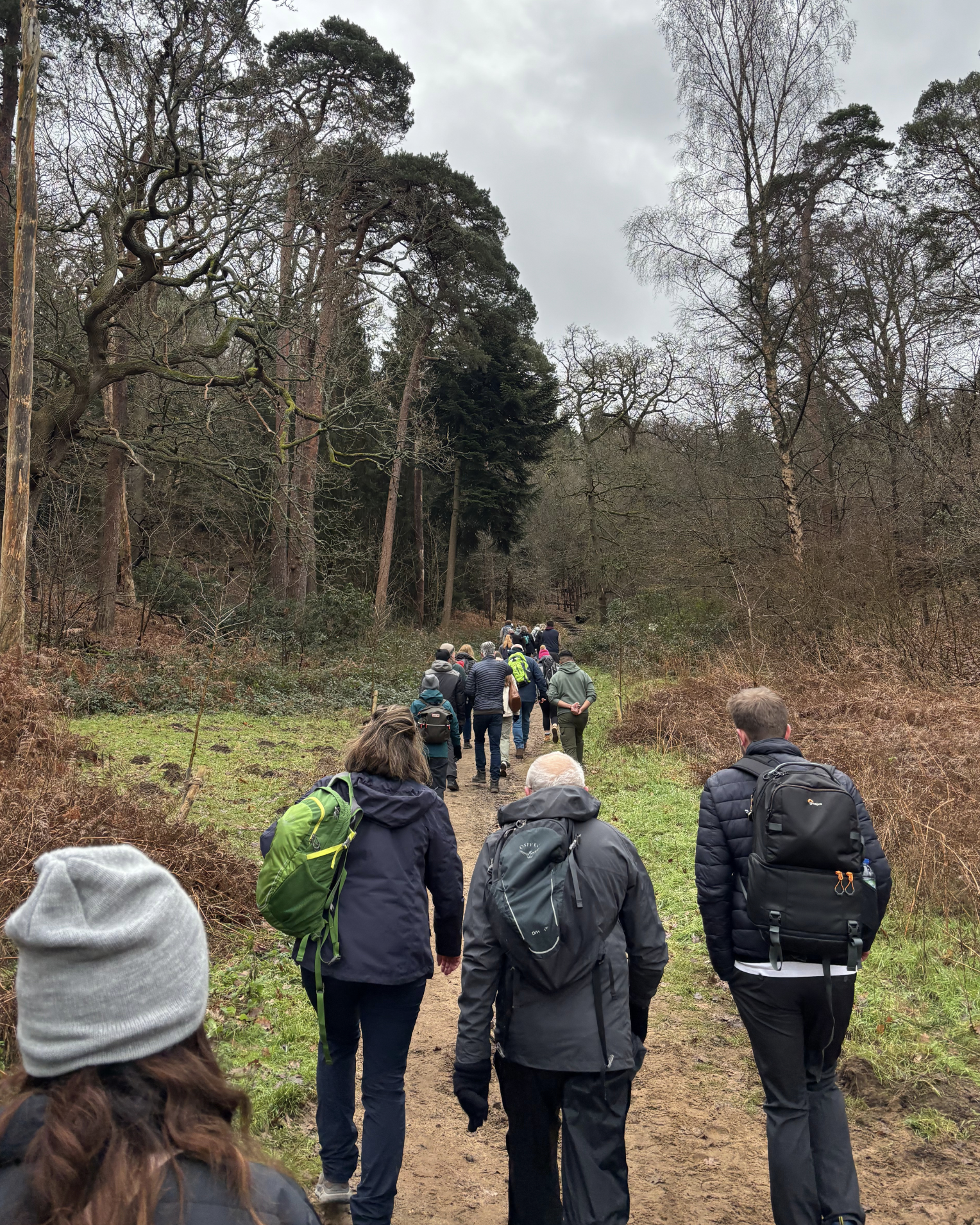 Step Into Nature: Northern Wind Community Walk