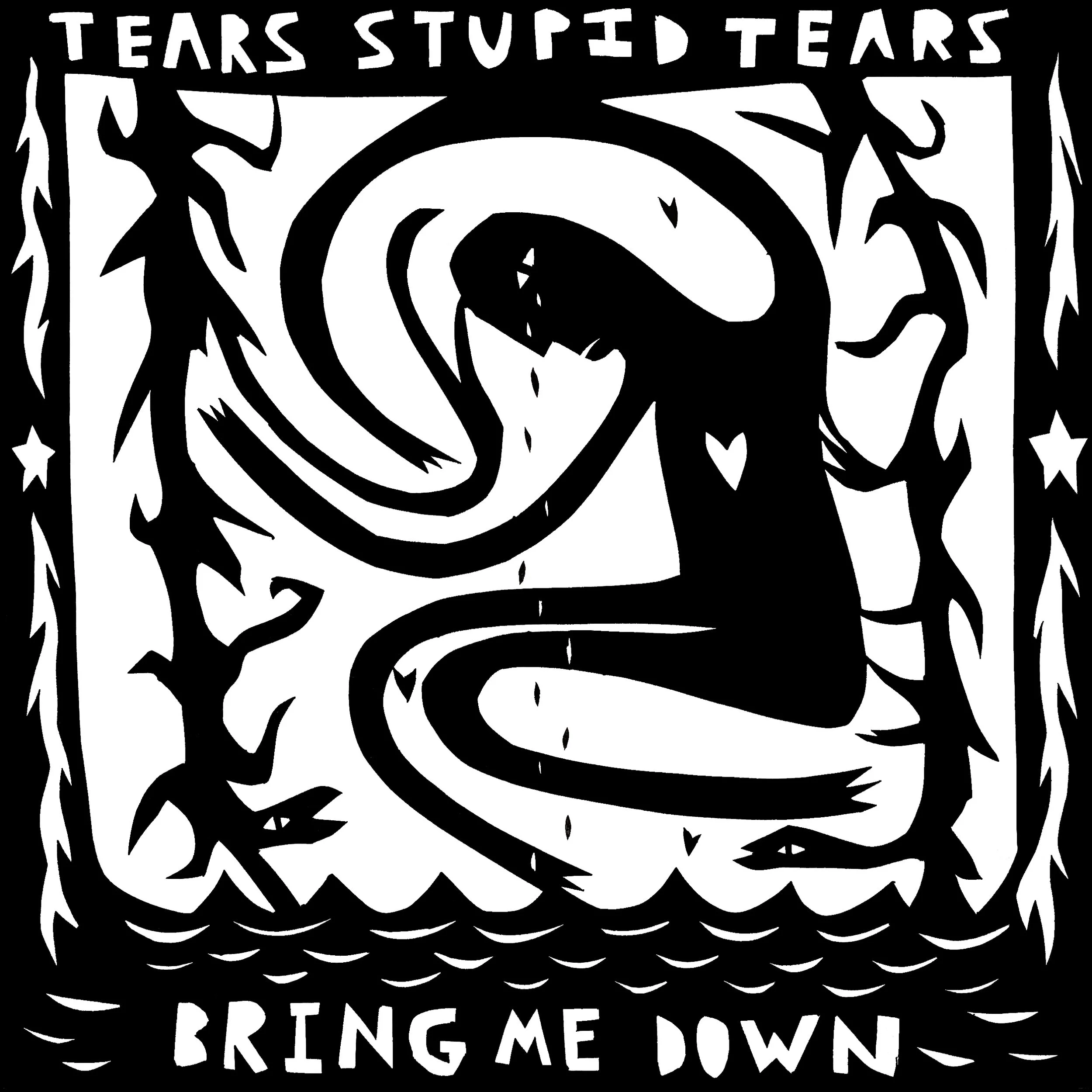 tears stupid tears 1.jpg