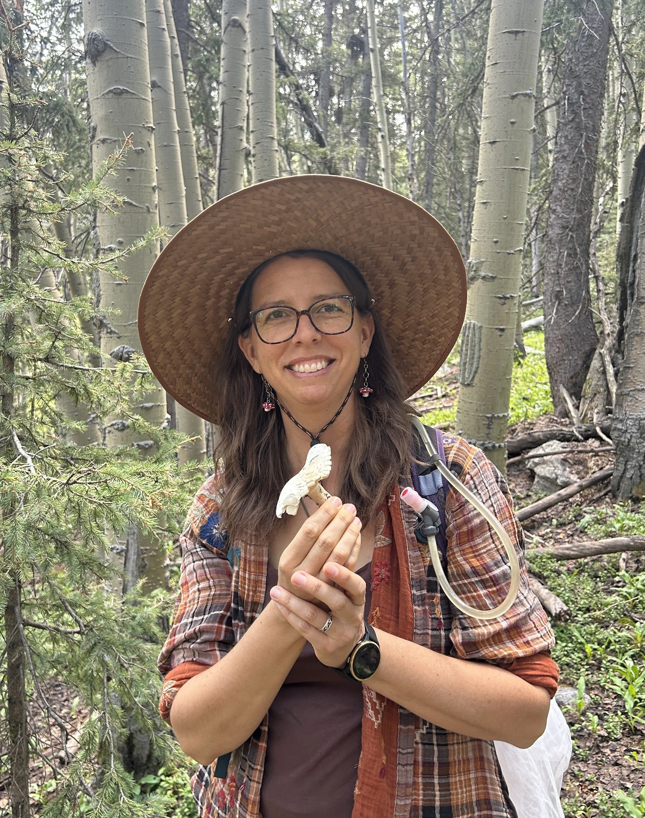 Foraging in Northern NM, Santa Fe 