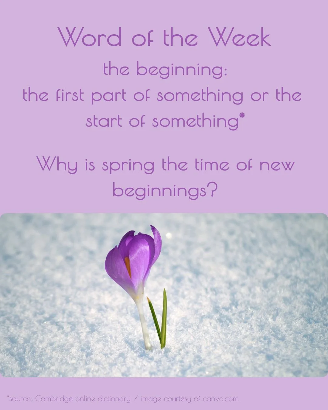 Why is spring the time of new beginnings?