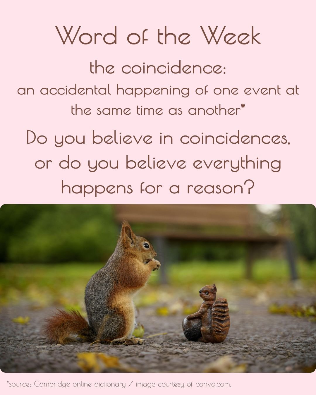 Do you believe in coincidences, or do you believe everything happens for a reason?
