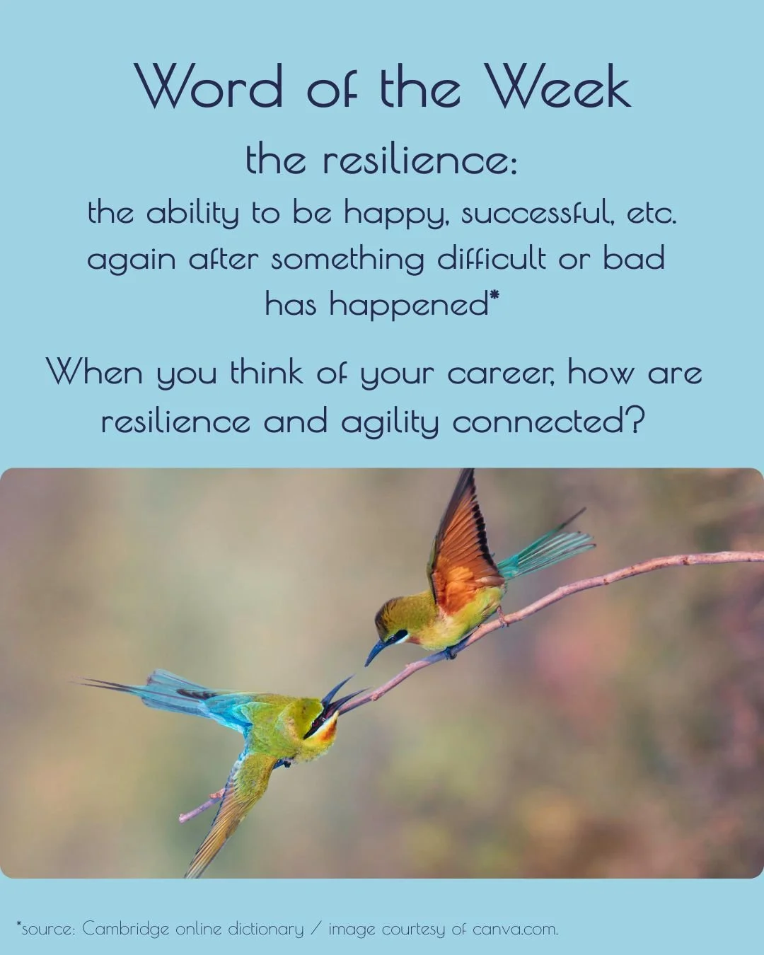 When you think of your career, how are resilience and agility connected?