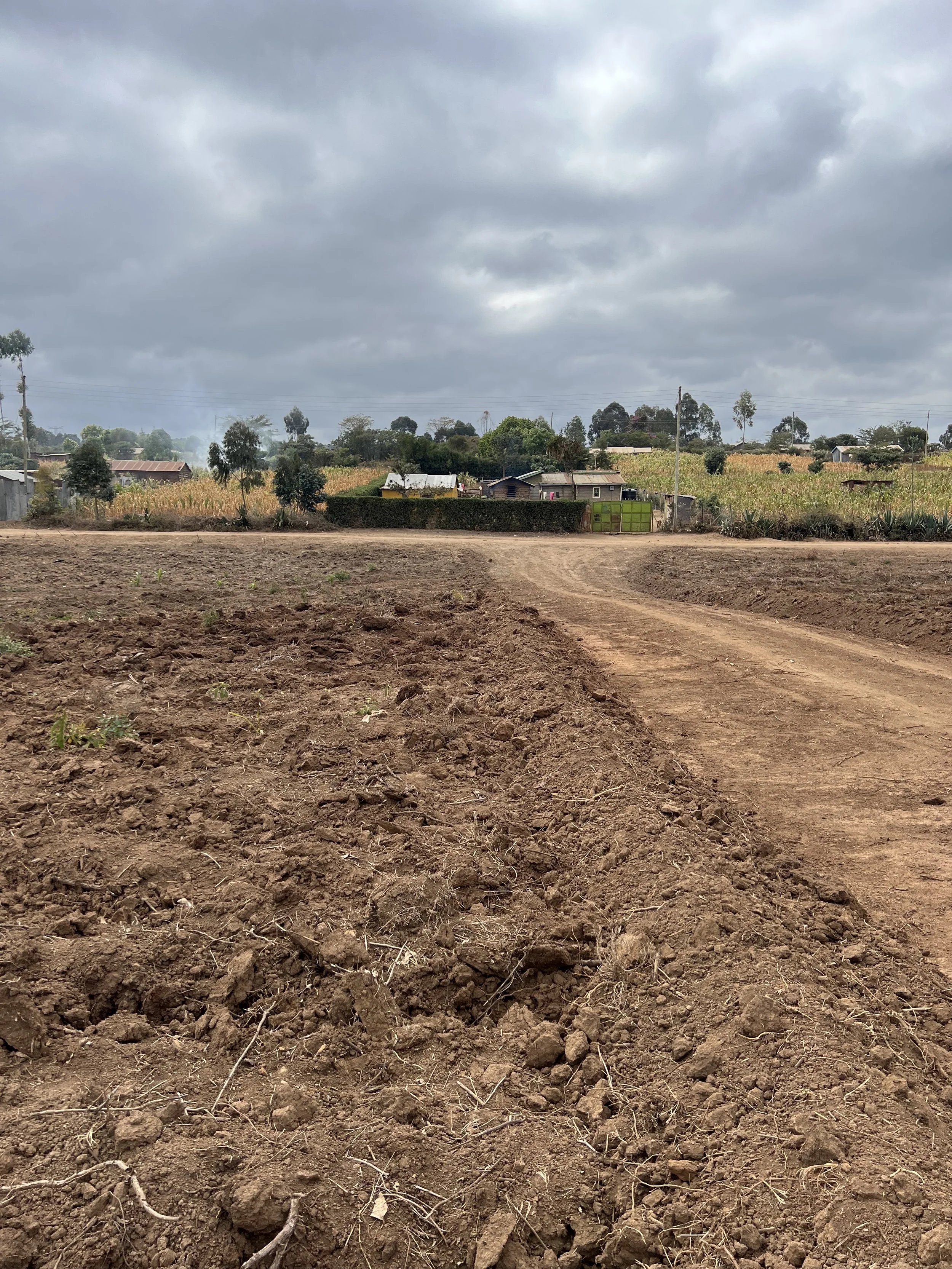 Our site prepared for construction on good red soil