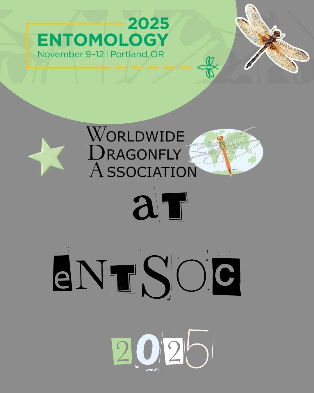 Check out some awesome odonatologists at Entomological Society of America Conference 2025 @entsocamerica! WDA members present their research and connect in Portland, Oregon. 
.
.
.
.
.
#Dragonflies #Damselflies #Odonatology #Biodiversity #Odonata #WD