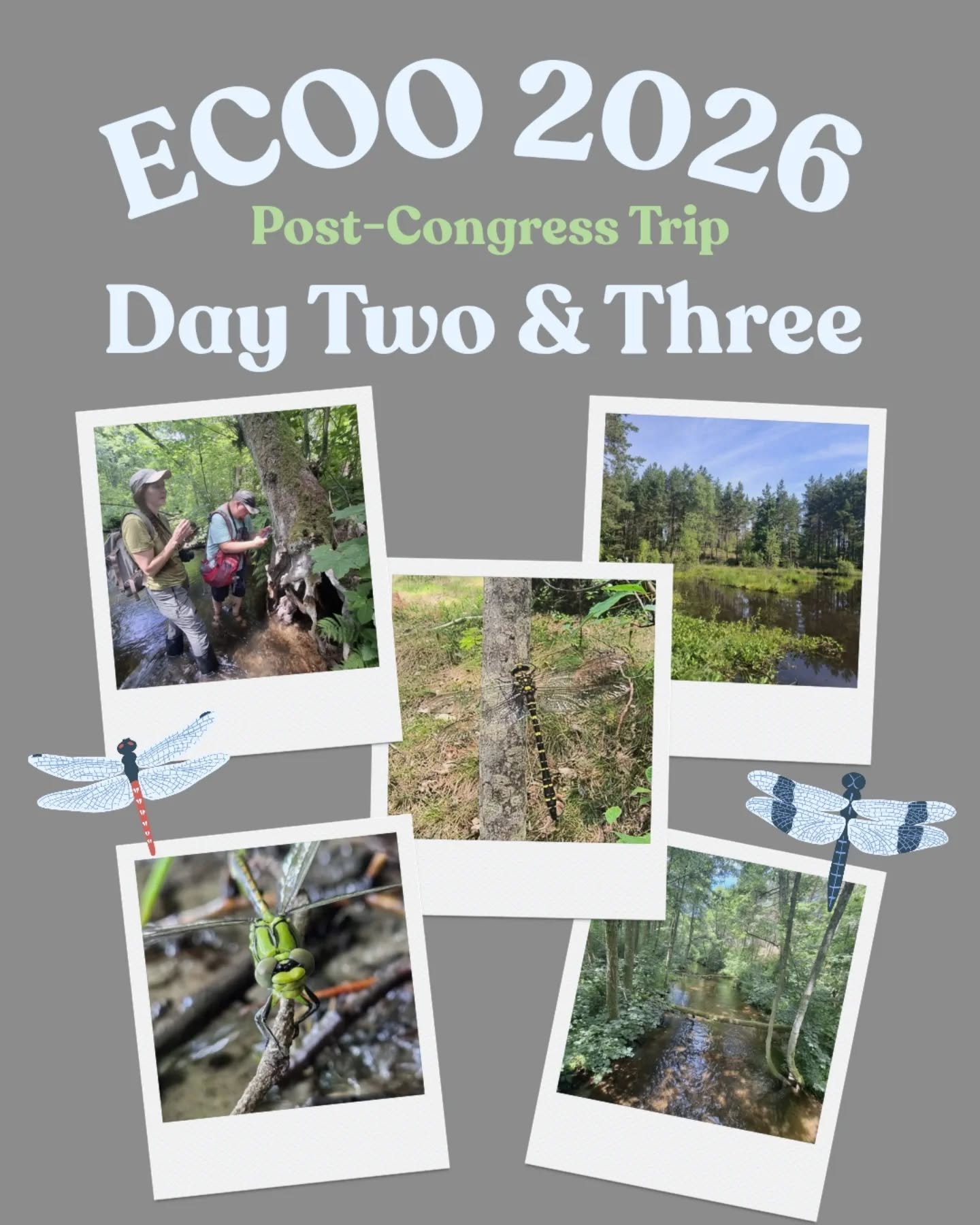 ECOO post congress tour! - Kaszuby Region is like a Paradise... Amazing species and habitats! We were at the Wesk&oacute;w peat bog and the River Wda. We also spent some time at Lake Schodno. 

Thank you to everyone who attended ECOO 2026 and the pos
