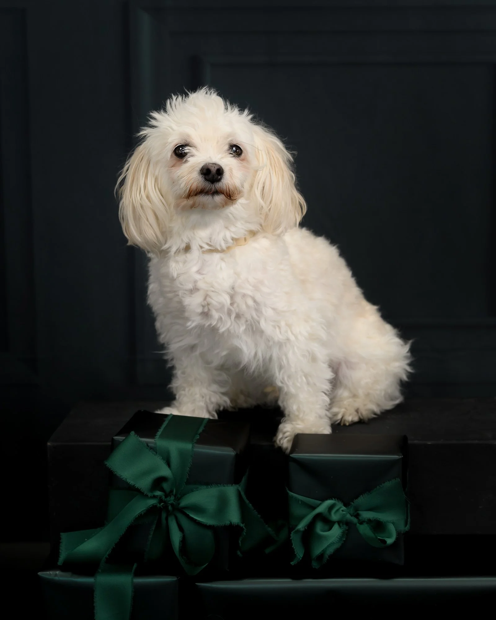 Holiday2026-4.jpg
