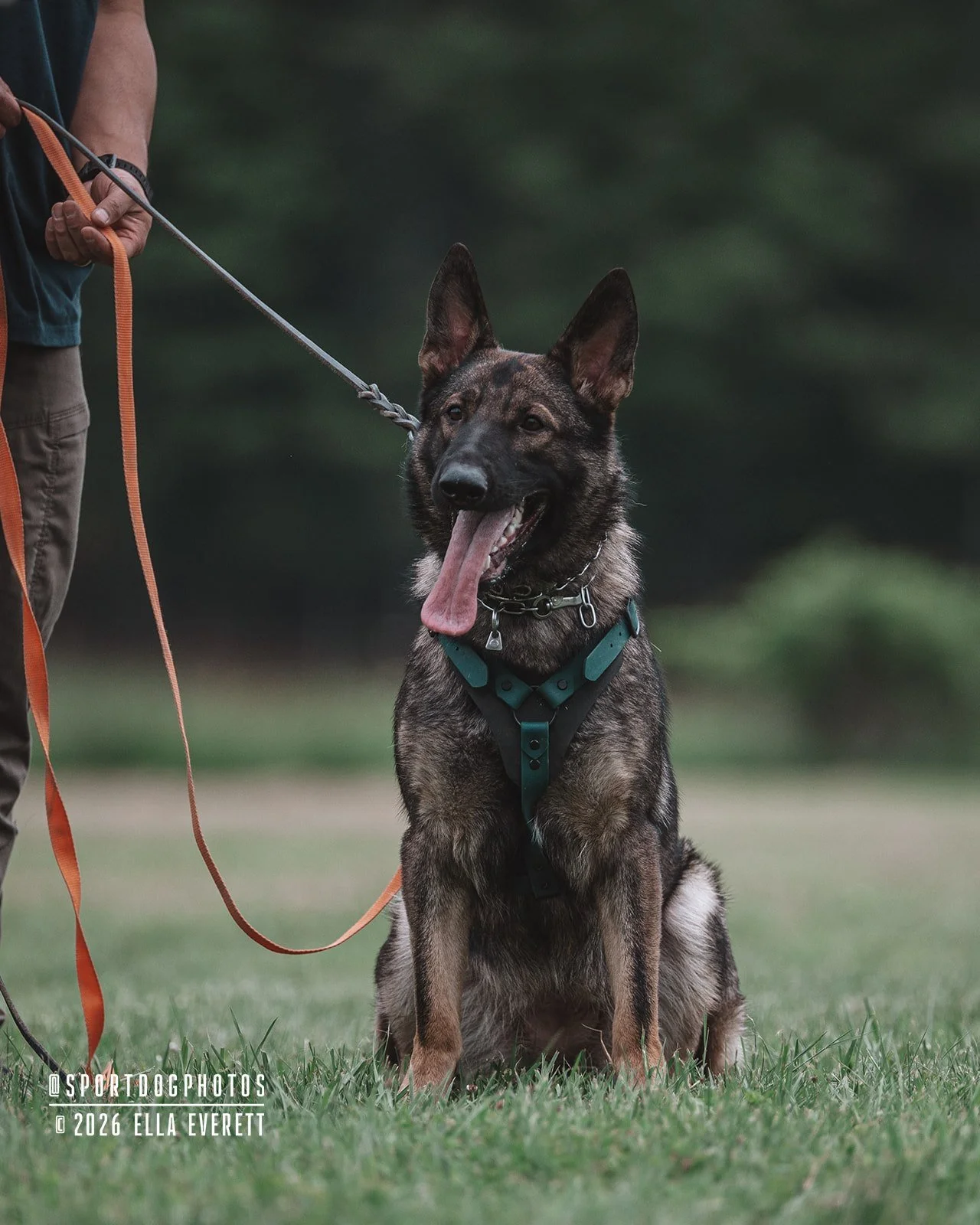 Joe & Nyja