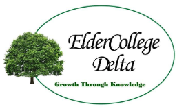 Free Drop-in Tech Help (Copy)