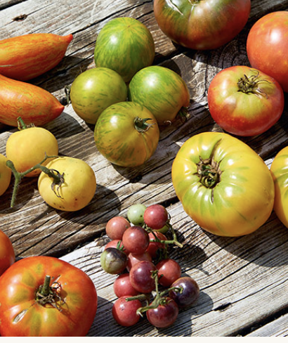 13th Annual Earthwise Society Heirloom Tomato Festival