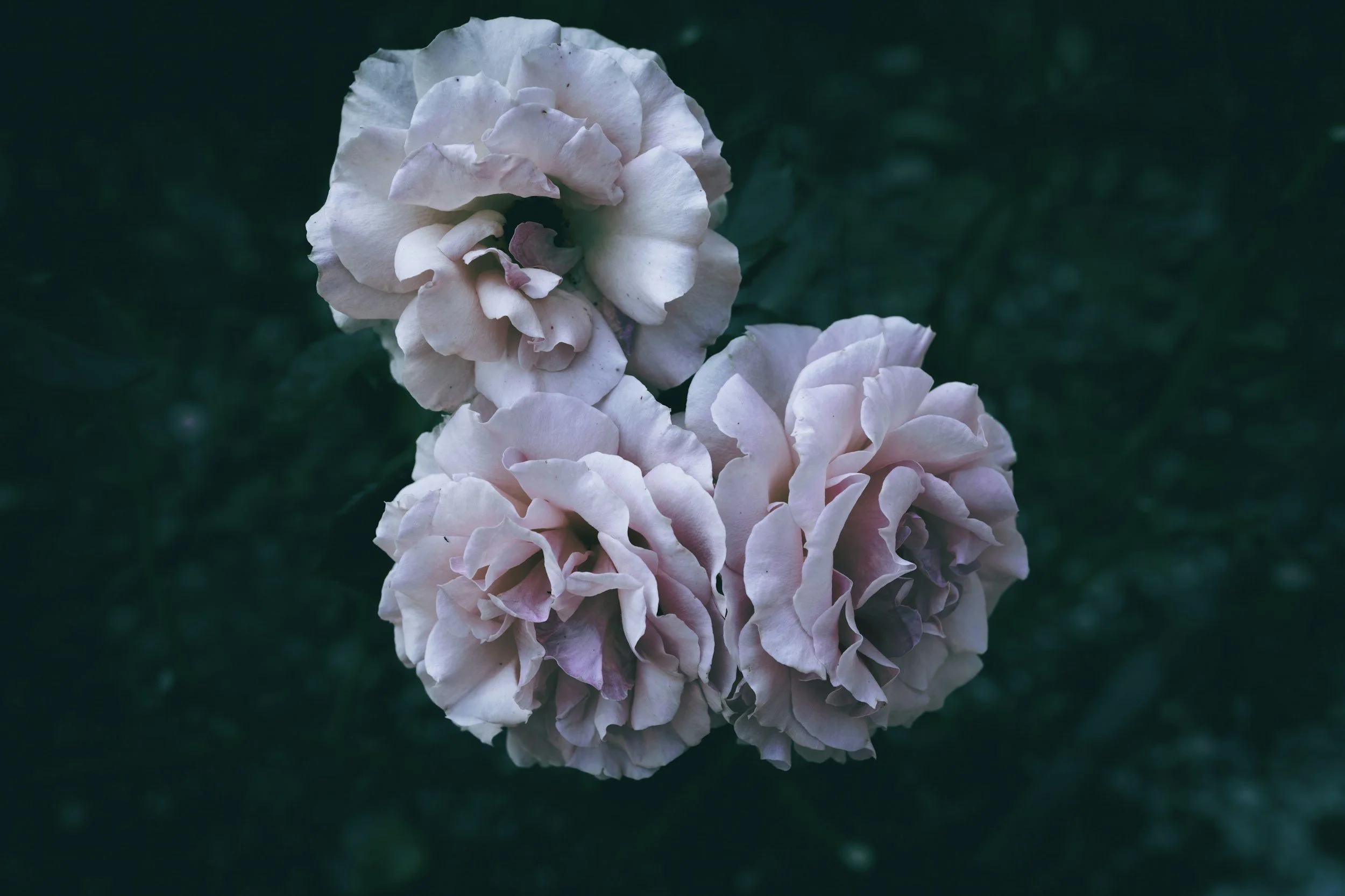 Creative by Design, Part 1: Honoring Your Inspiration Rhythms with Human Design &amp; Tarot 