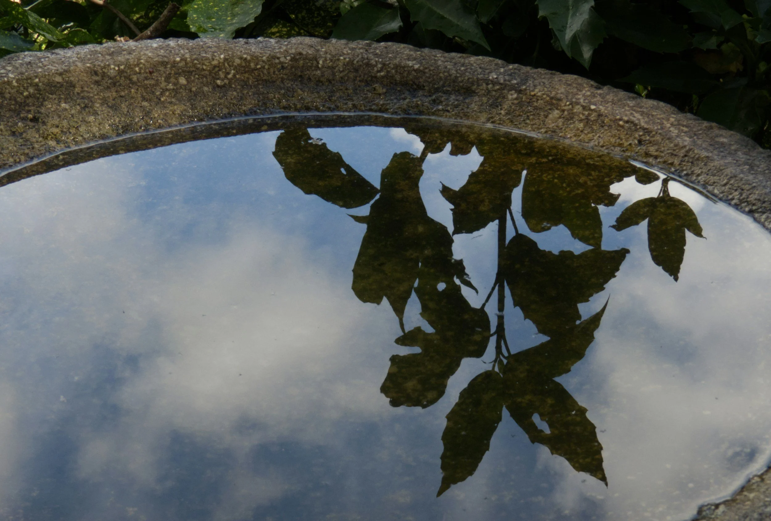 Eight Years In: The Business Lessons I Keep Returning To