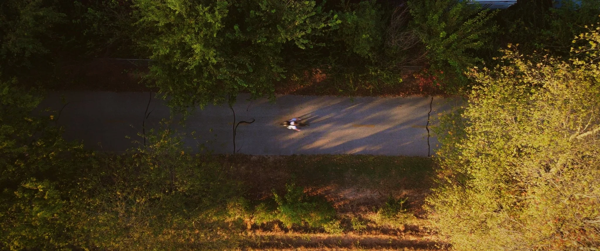 What_If_Stills_1.25.1.jpg