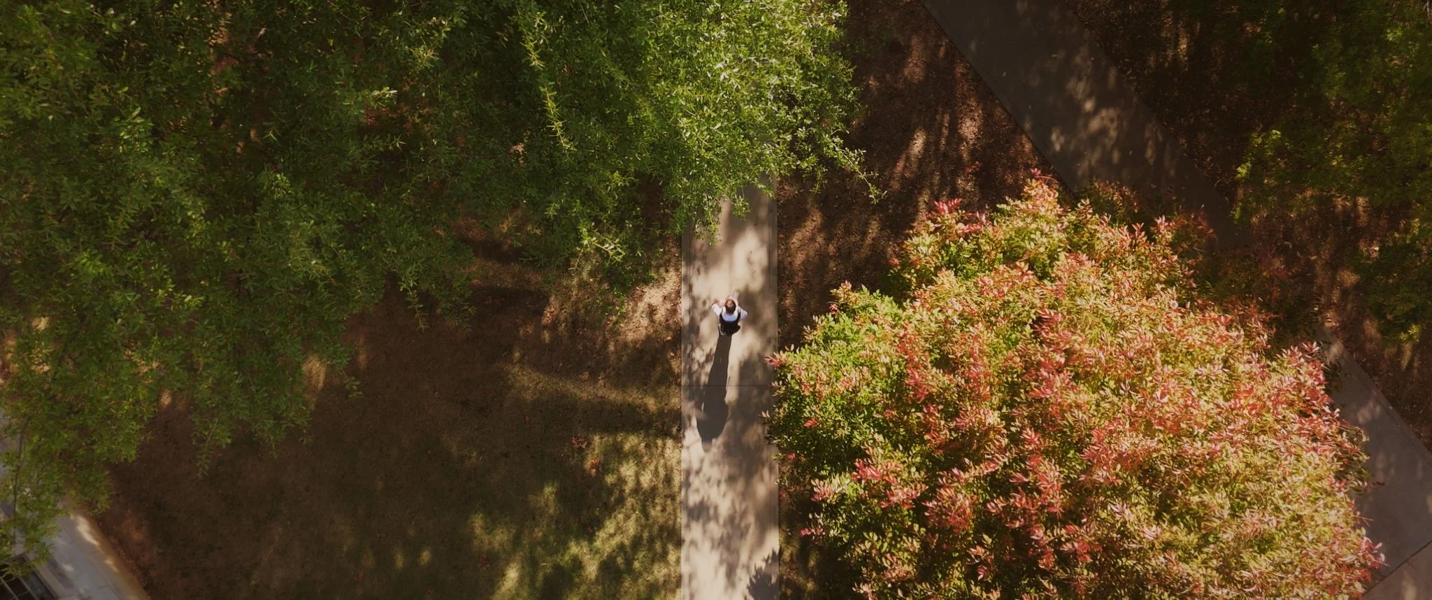 What_If_Stills_1.17.1.jpg