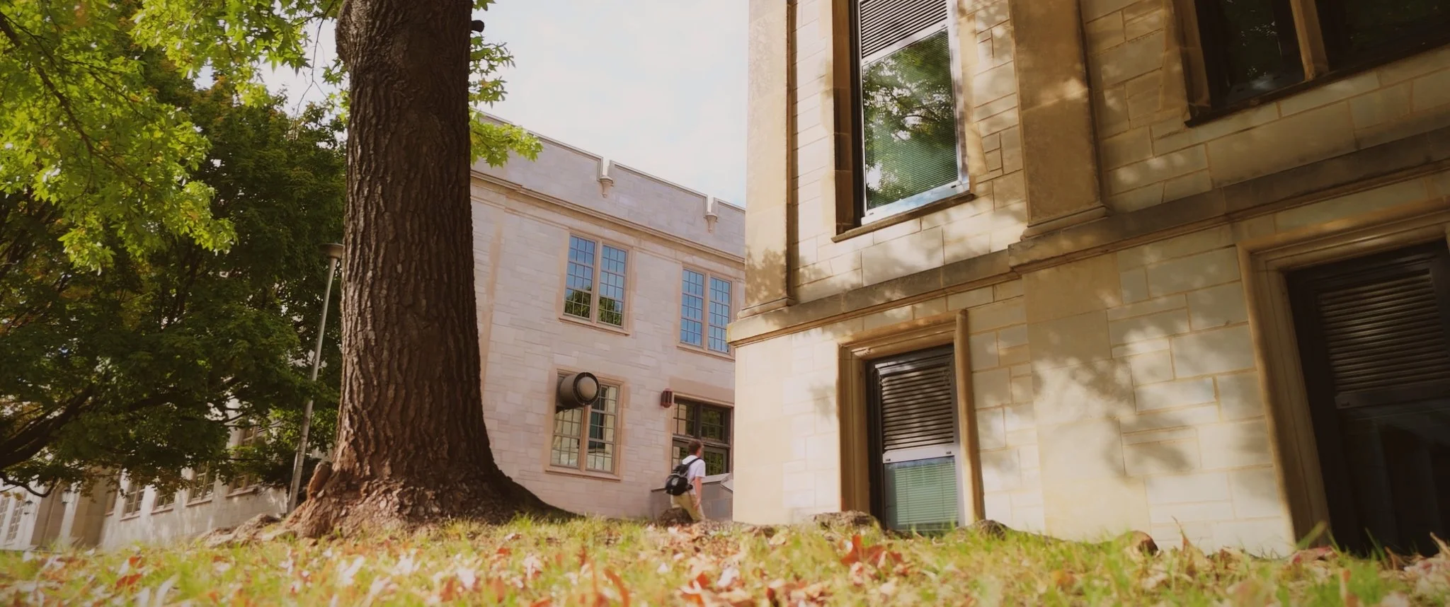 What_If_Stills_1.19.1.jpg