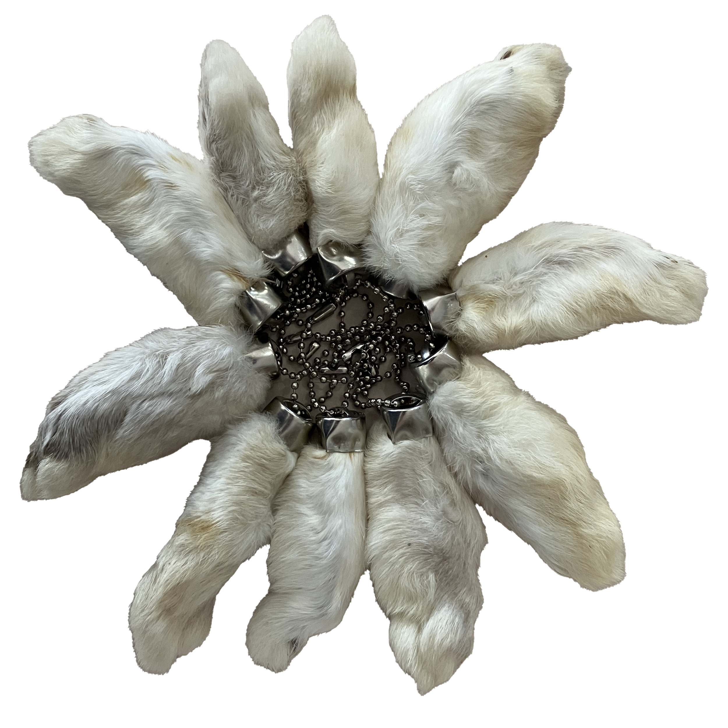 rabbit feet.png
