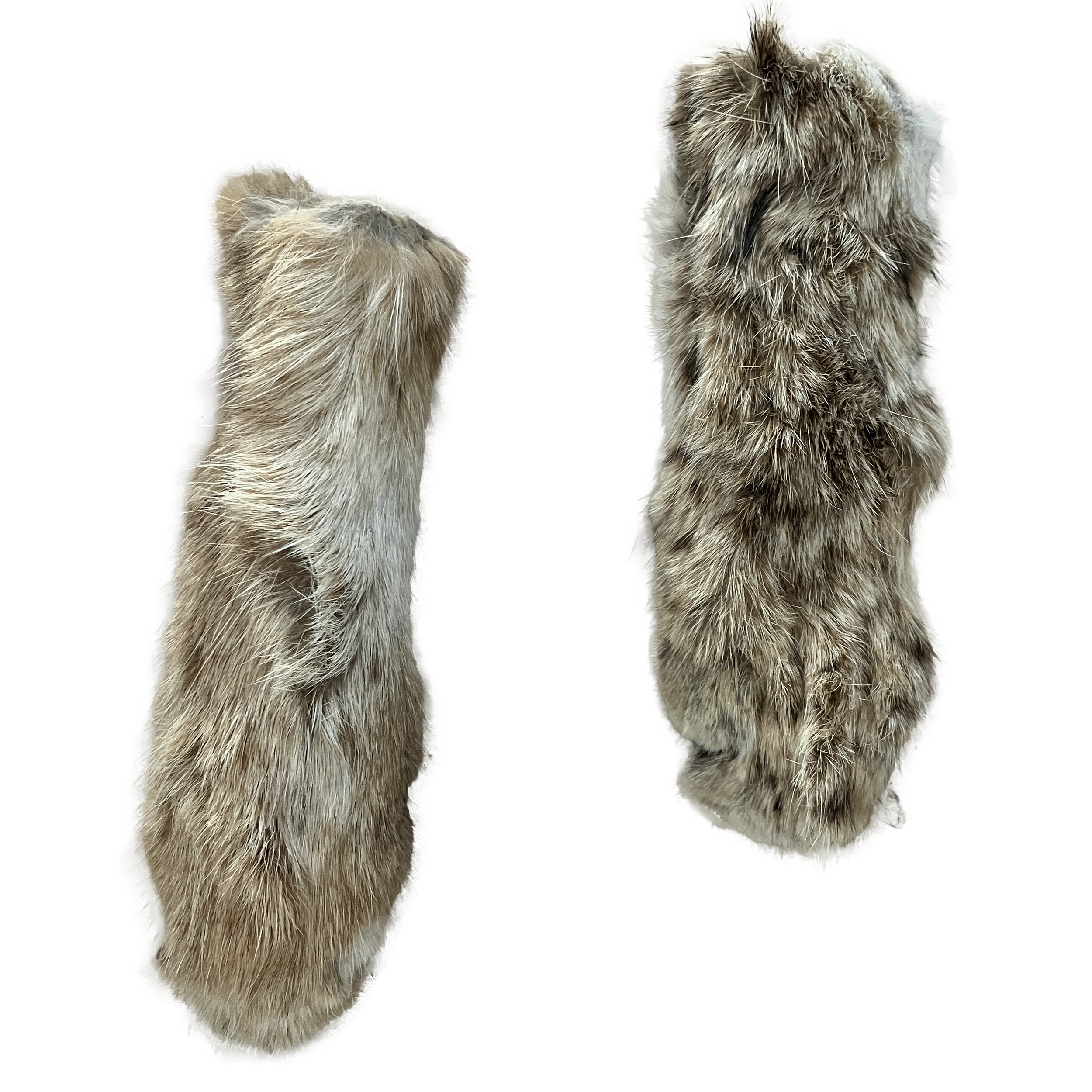 bobcat feet.png