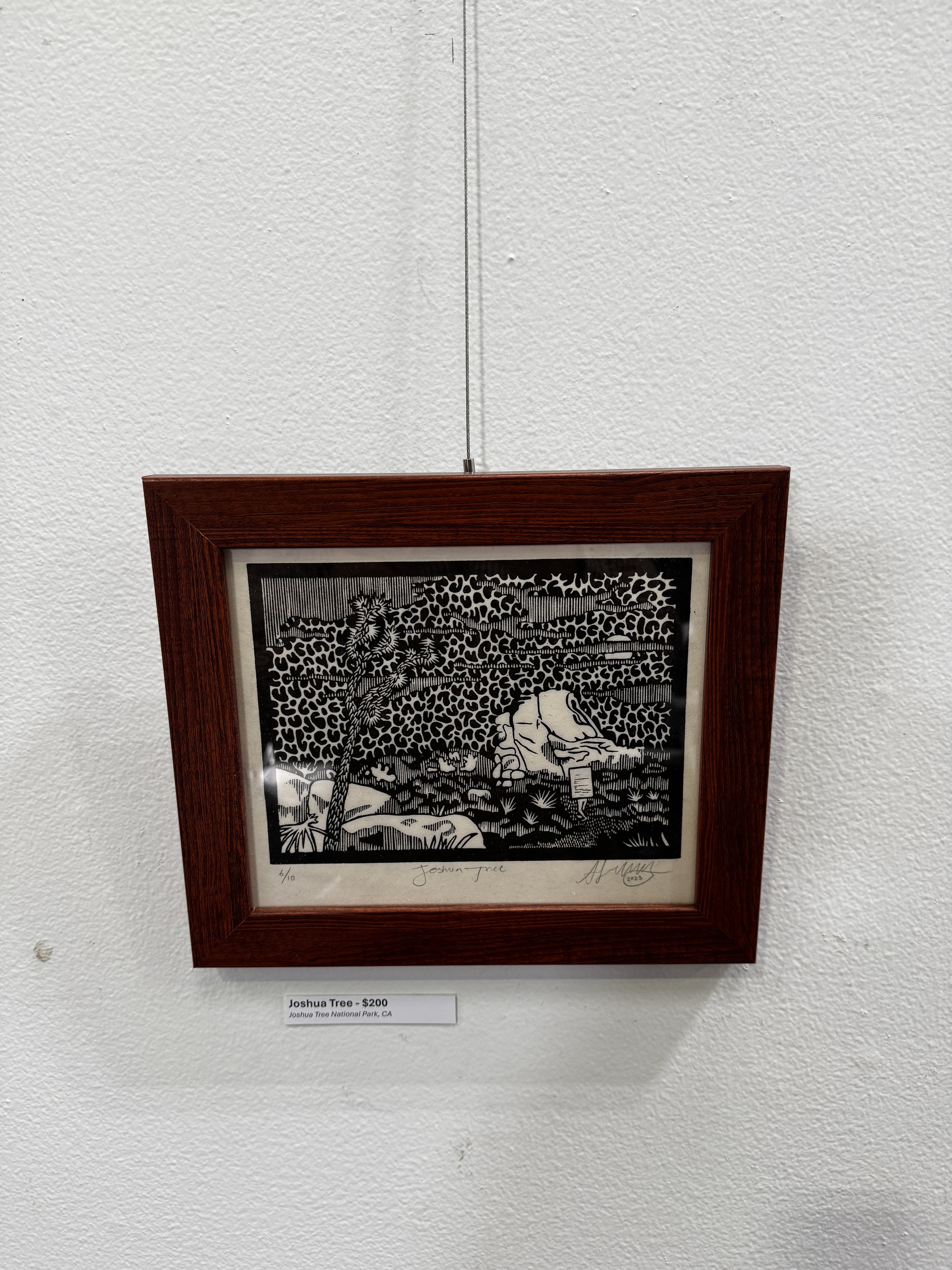 Joshua Tree - framed