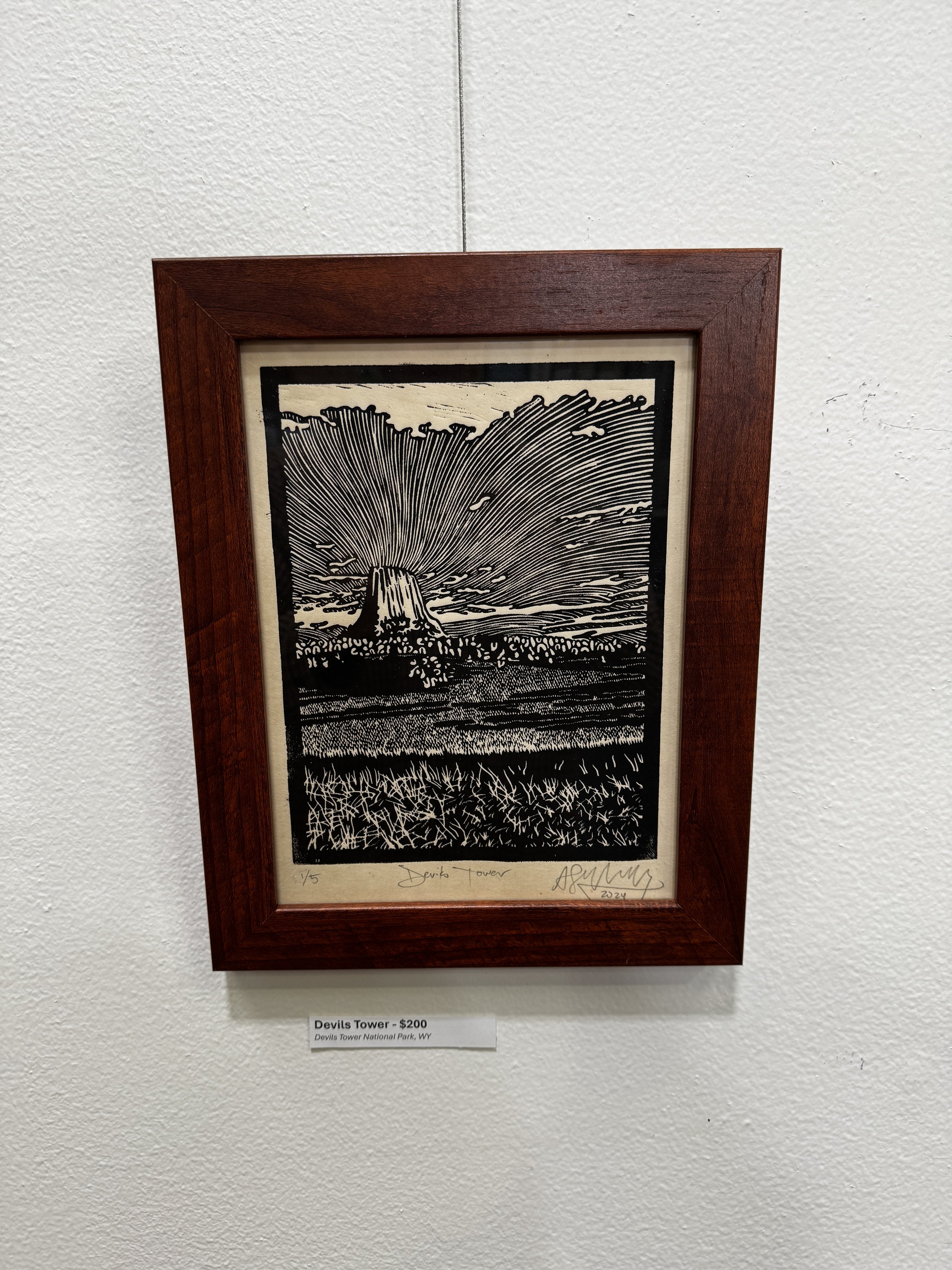 Devils Tower - framed