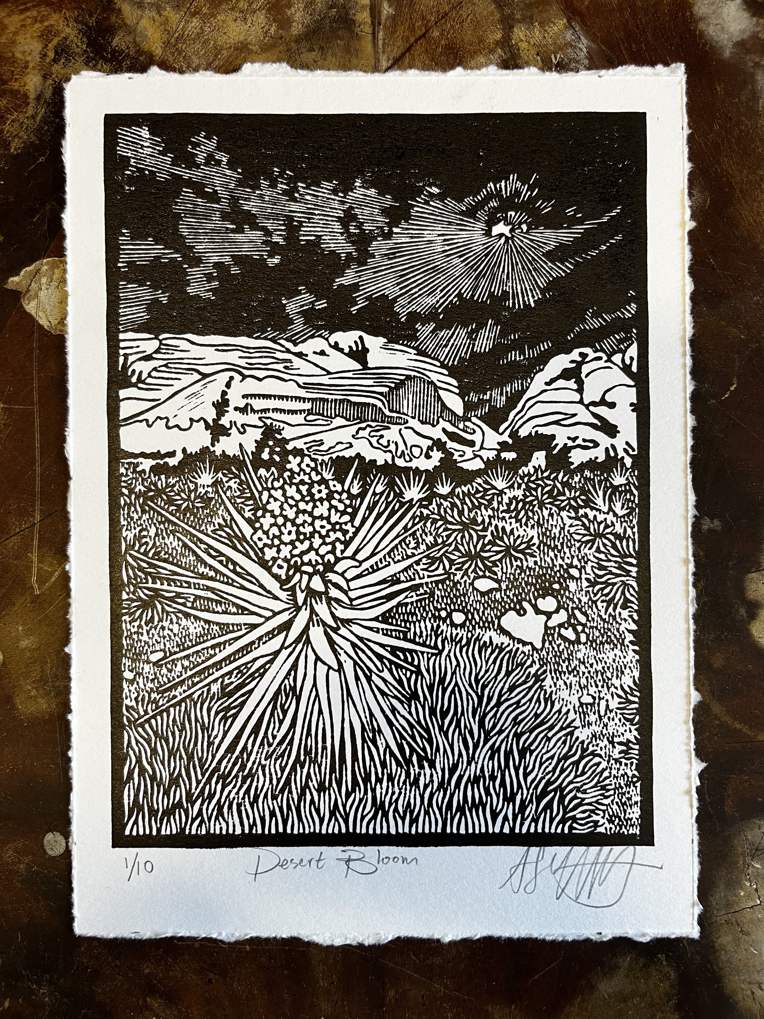 Desert Bloom