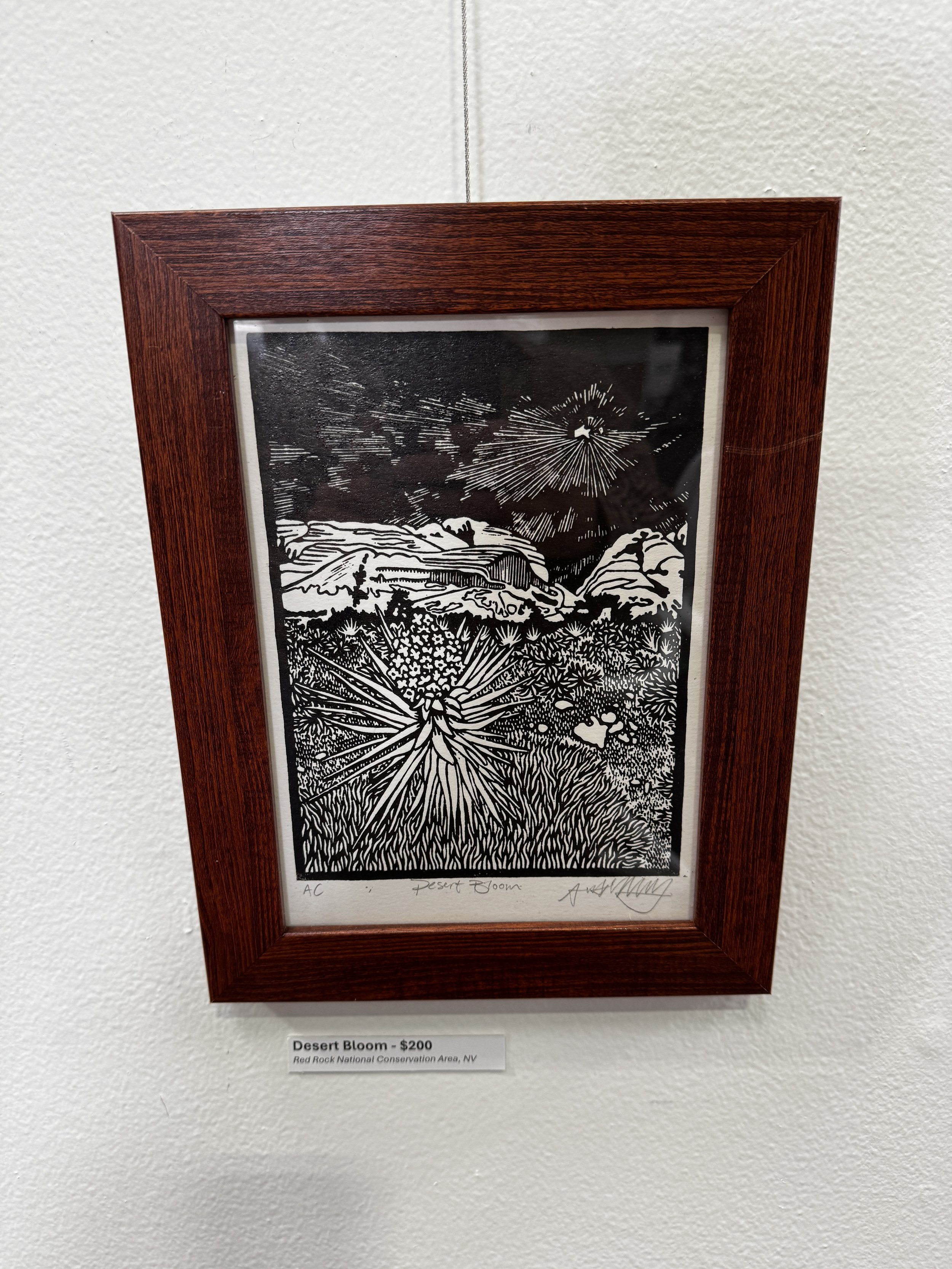 Desert Bloom - framed